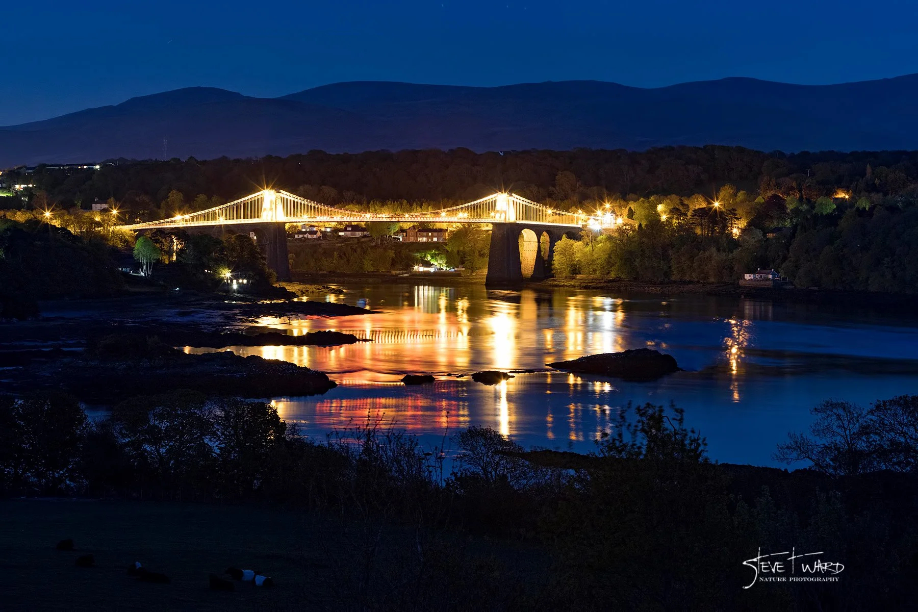Nighttime view of a lit suspension bridge over a river with reflections, surrounded by trees and hills in the distance.