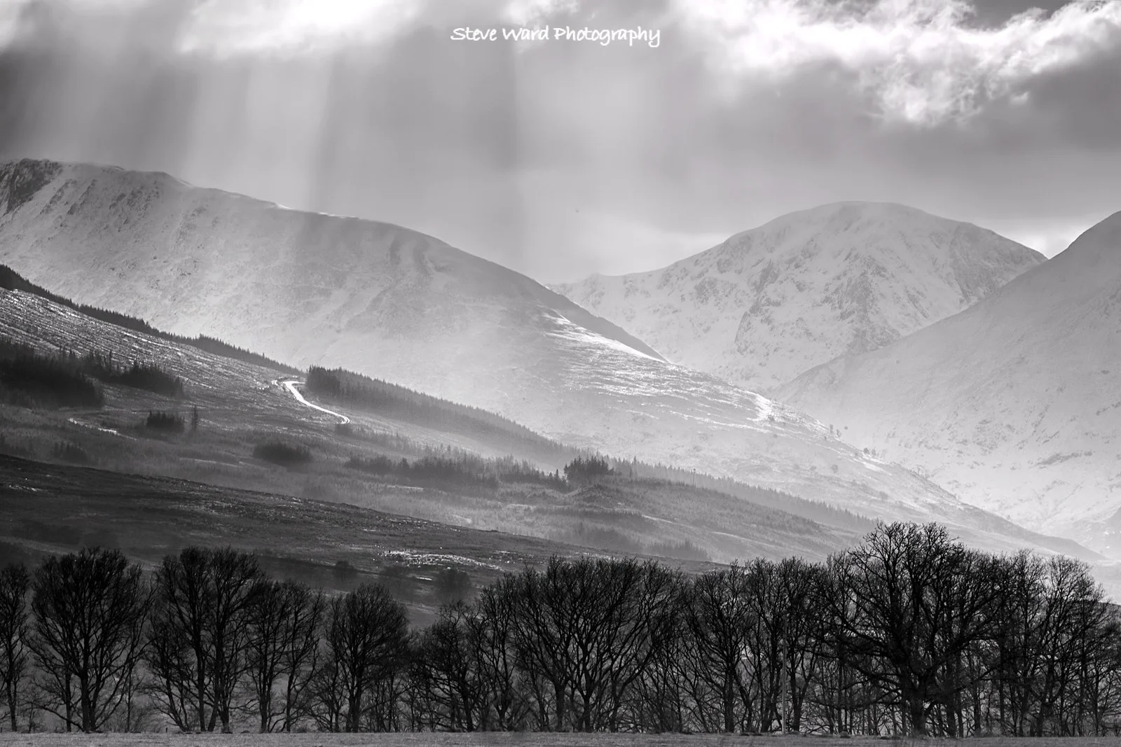 Black and white landscape of snow-covered mountains, rolling hills, and trees in the foreground under a cloudy sky.