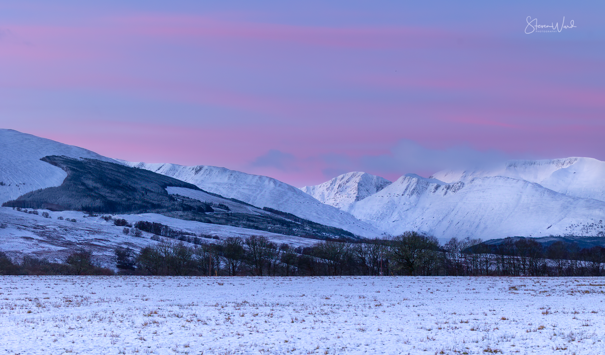 Snow-covered mountains under a colorful purple and pink sunset sky, with a snow-covered field and scattered trees in the foreground.