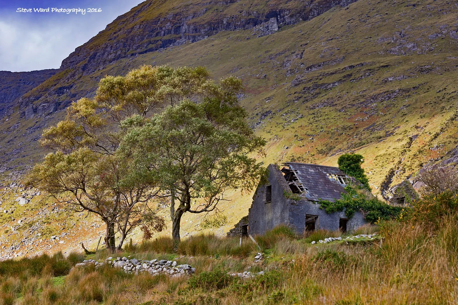 Abandoned stone house with broken roof, surrounded by tall grass and trees, on a hillside with rocky terrain and green vegetation.