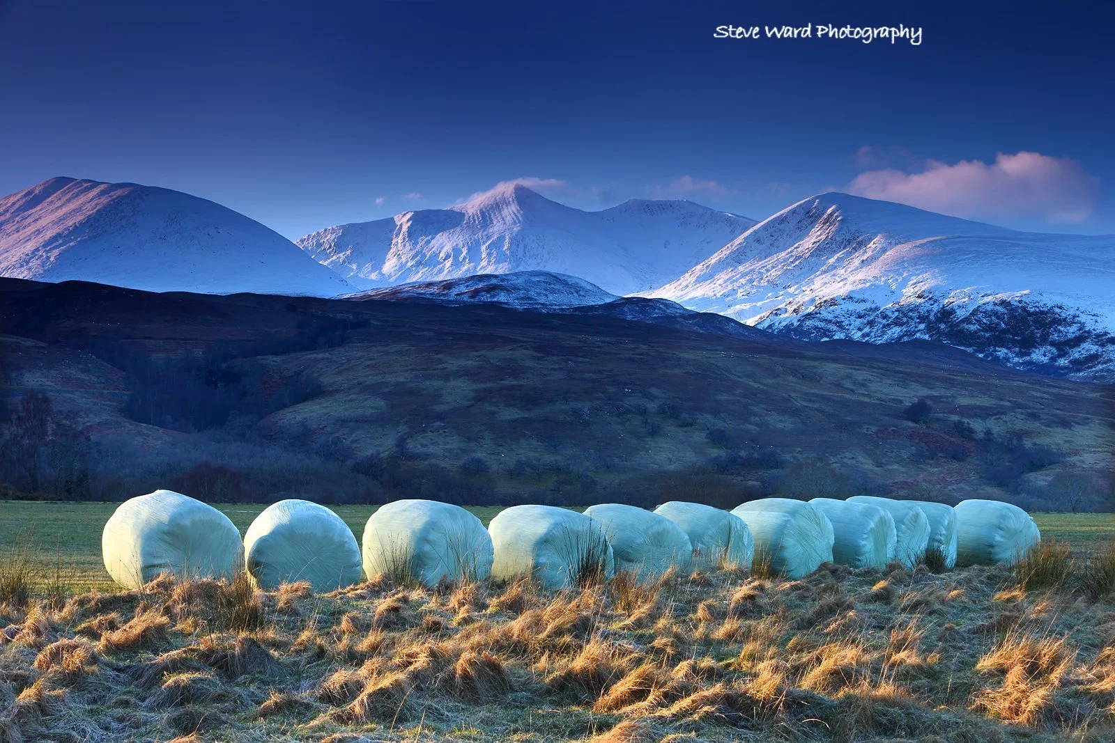Hay bales wrapped in white plastic on a grassy field with mountains and snow in the background during sunset.