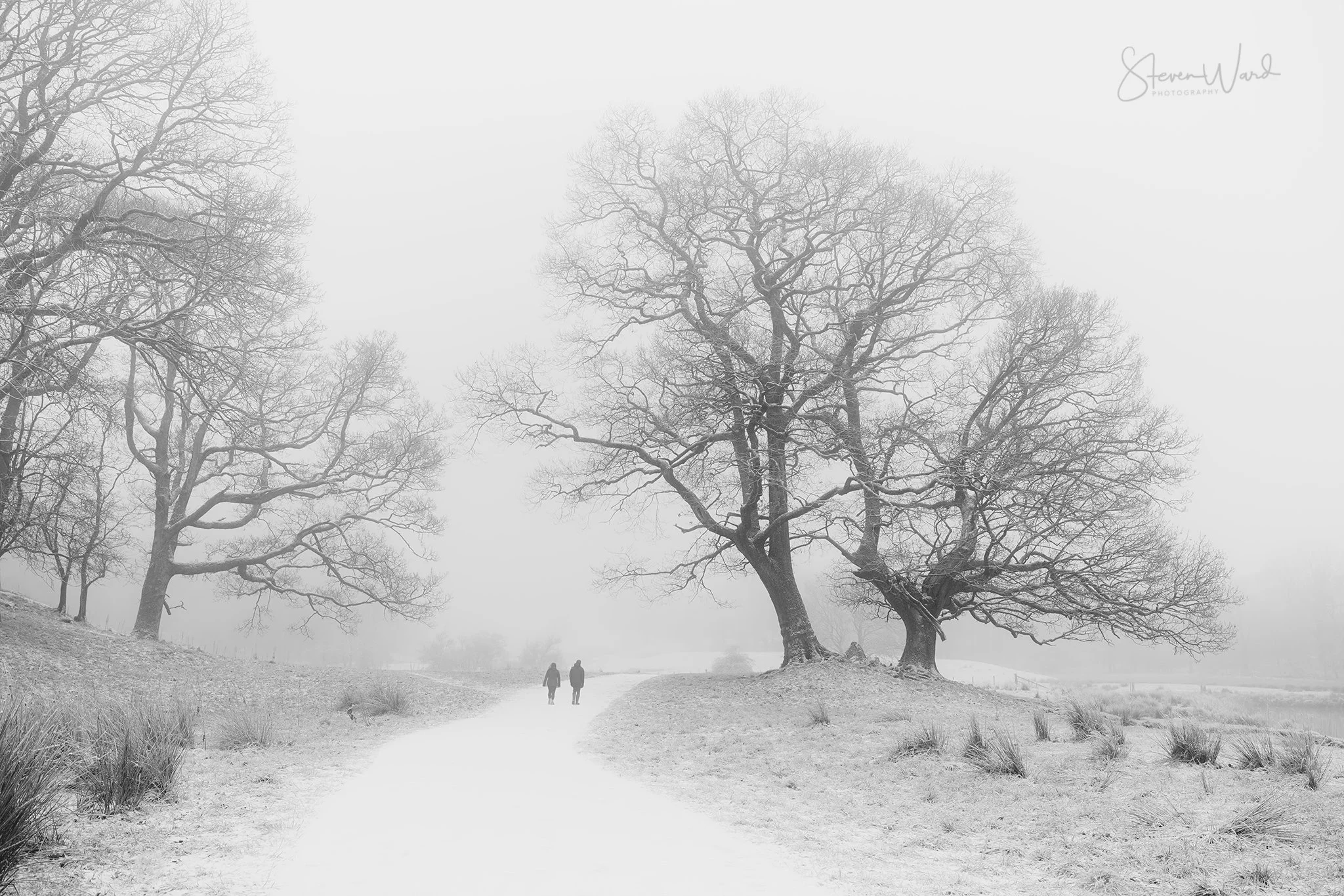 Two people walking along a path in a foggy landscape with leafless trees and grassy areas.