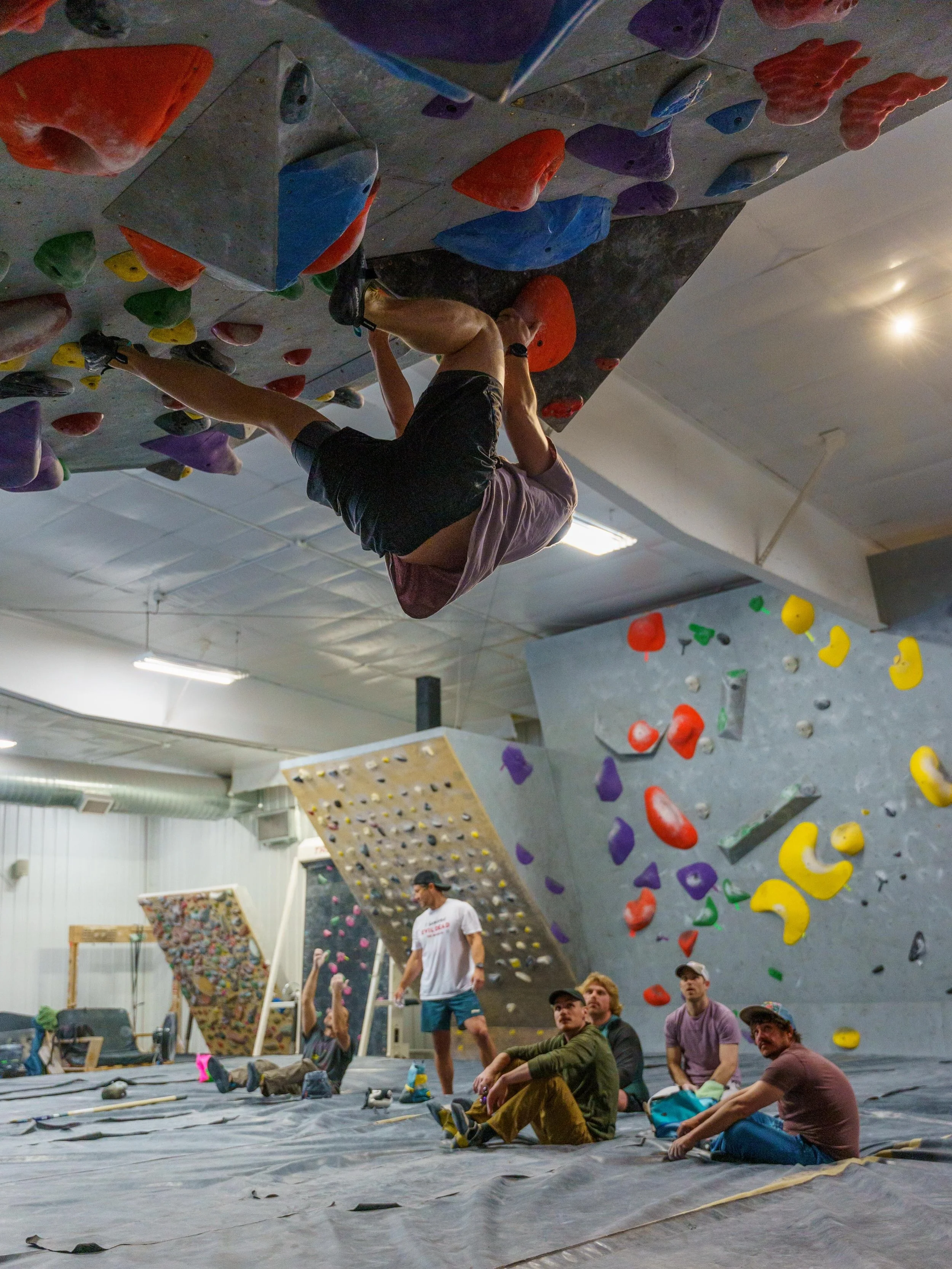 Have you successfully climbed the roof?