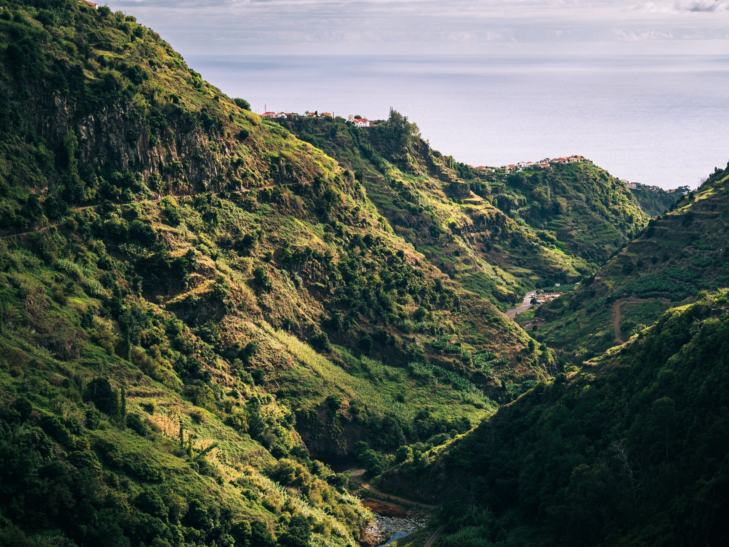 View from Levada Nova