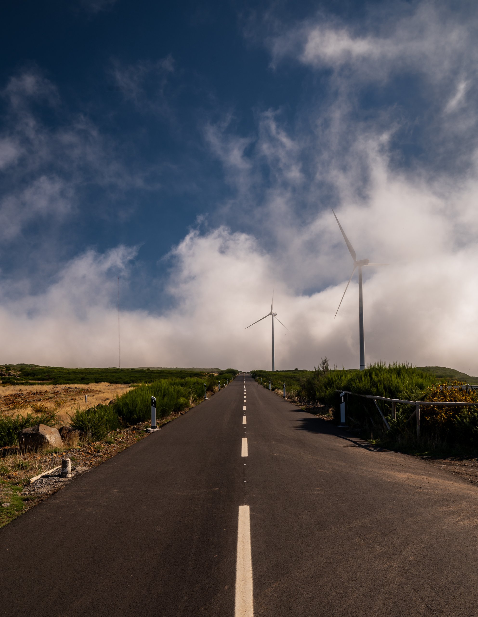 Somewhere on the road to Fanal forrest