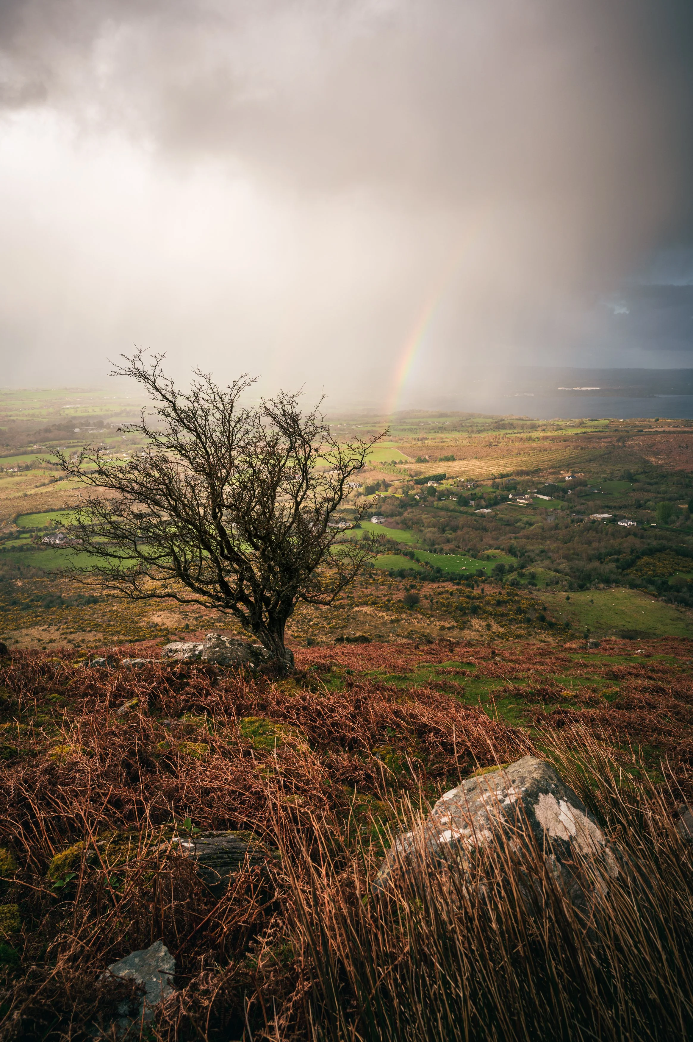 View from Strickeen Mountain