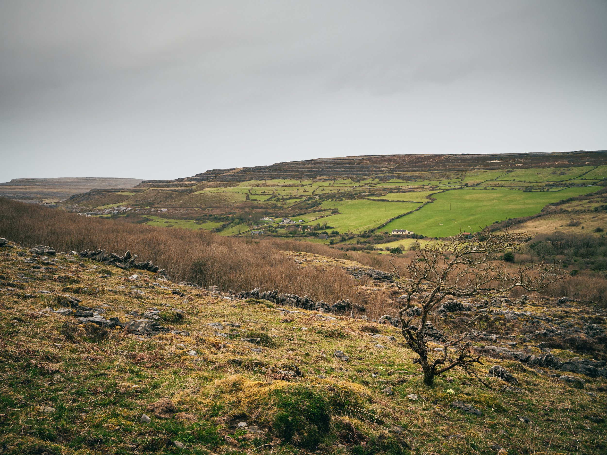 Ballyvaughan Black Head Loop