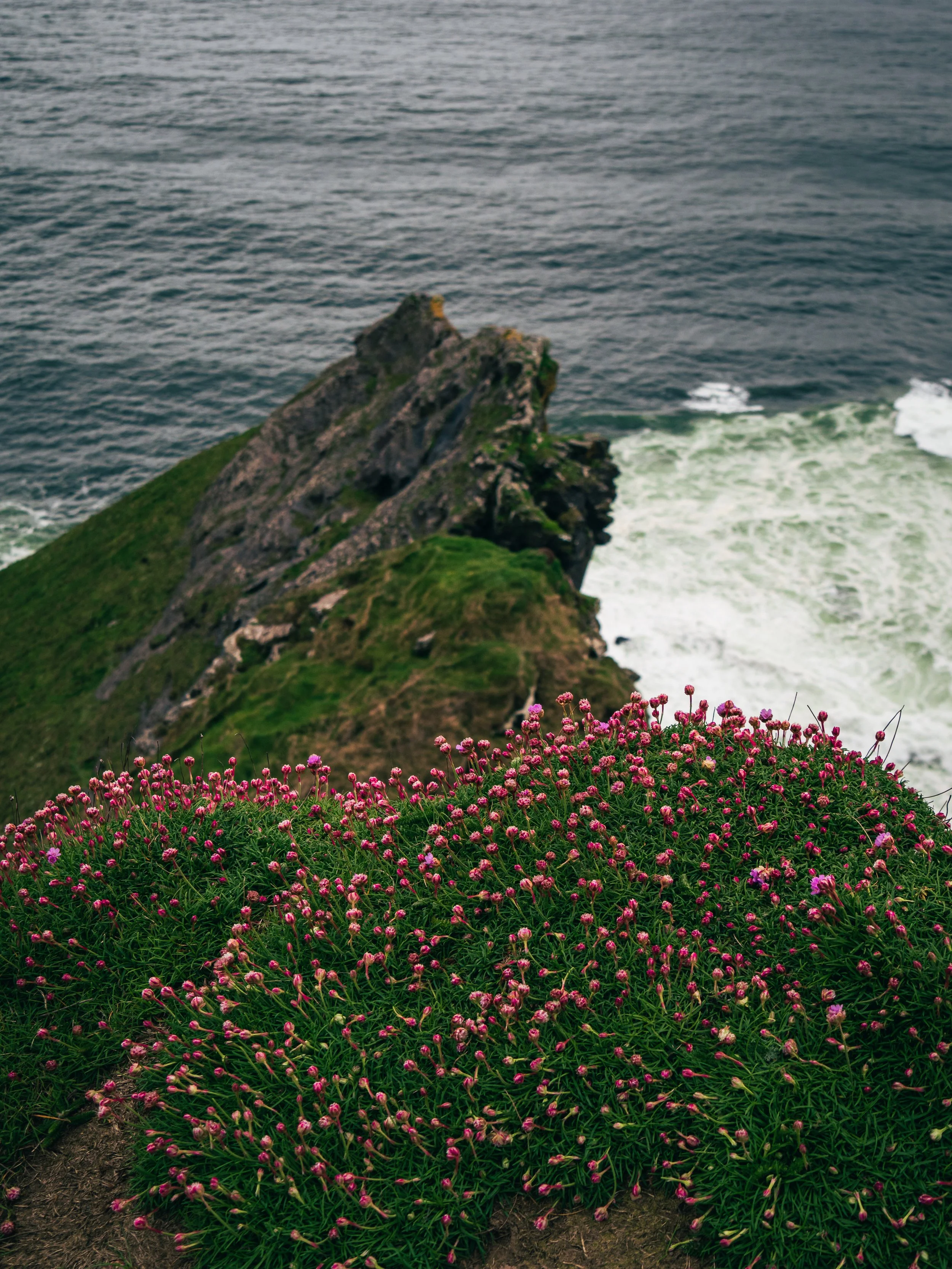 Cliffs of Moher