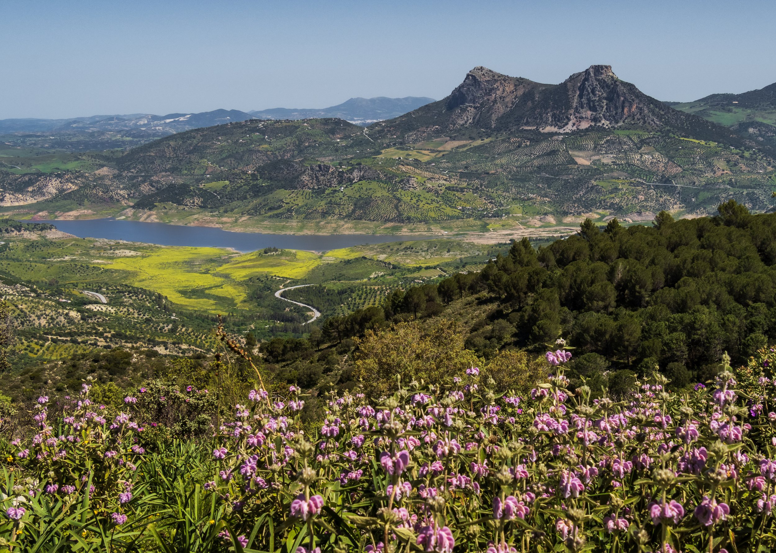 On the road from Puerto de Las Palomas