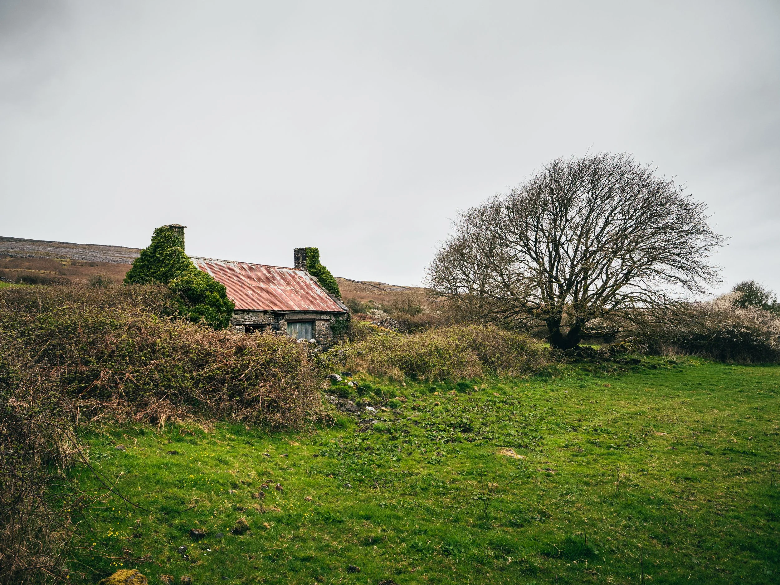 Ballyvaughan Black Head Loop