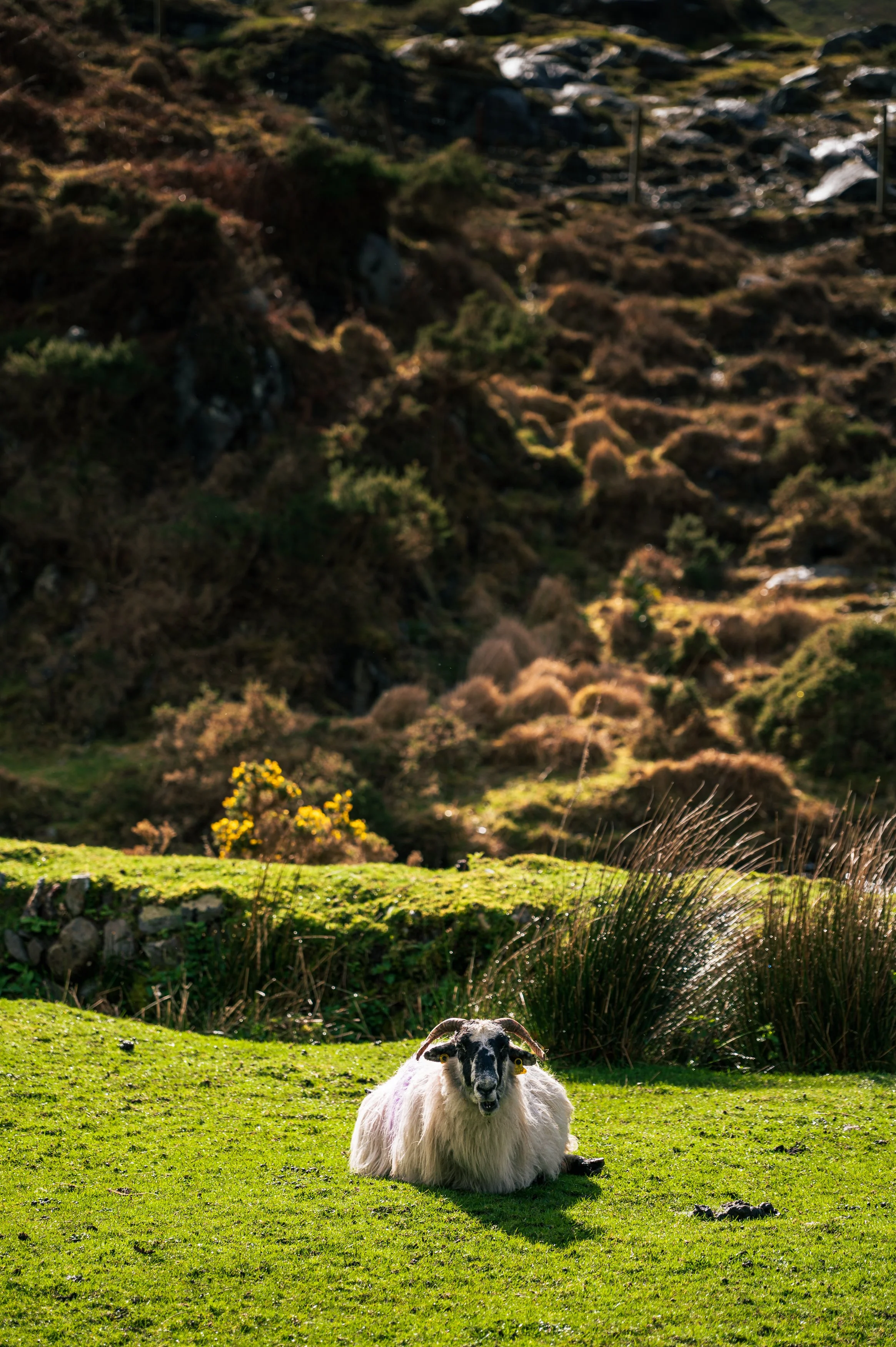 Gap of Dunloe