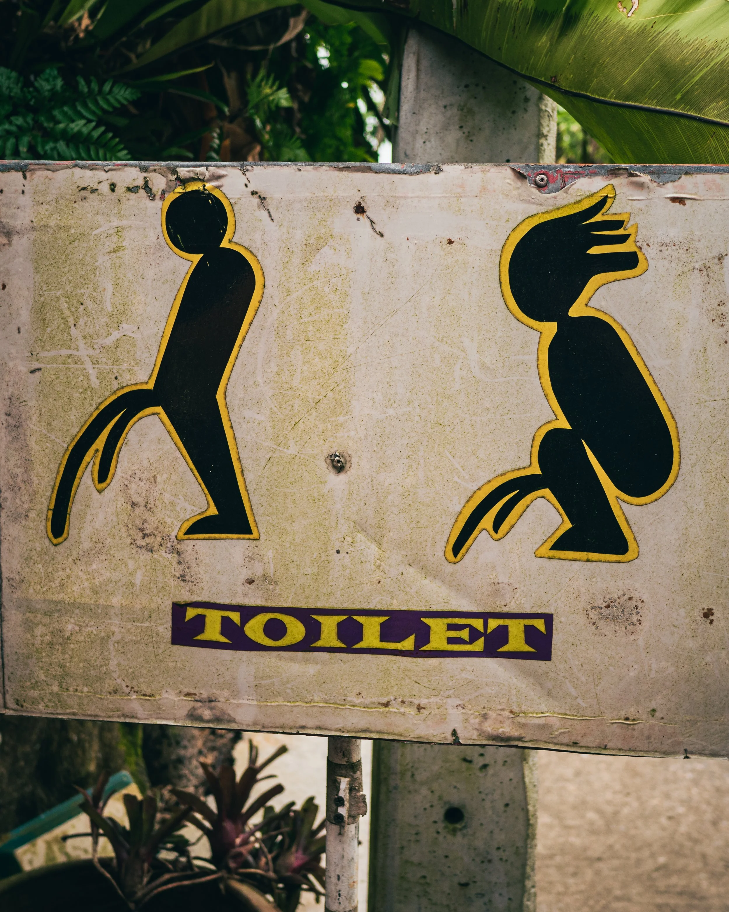 Paradise Park​ Farm