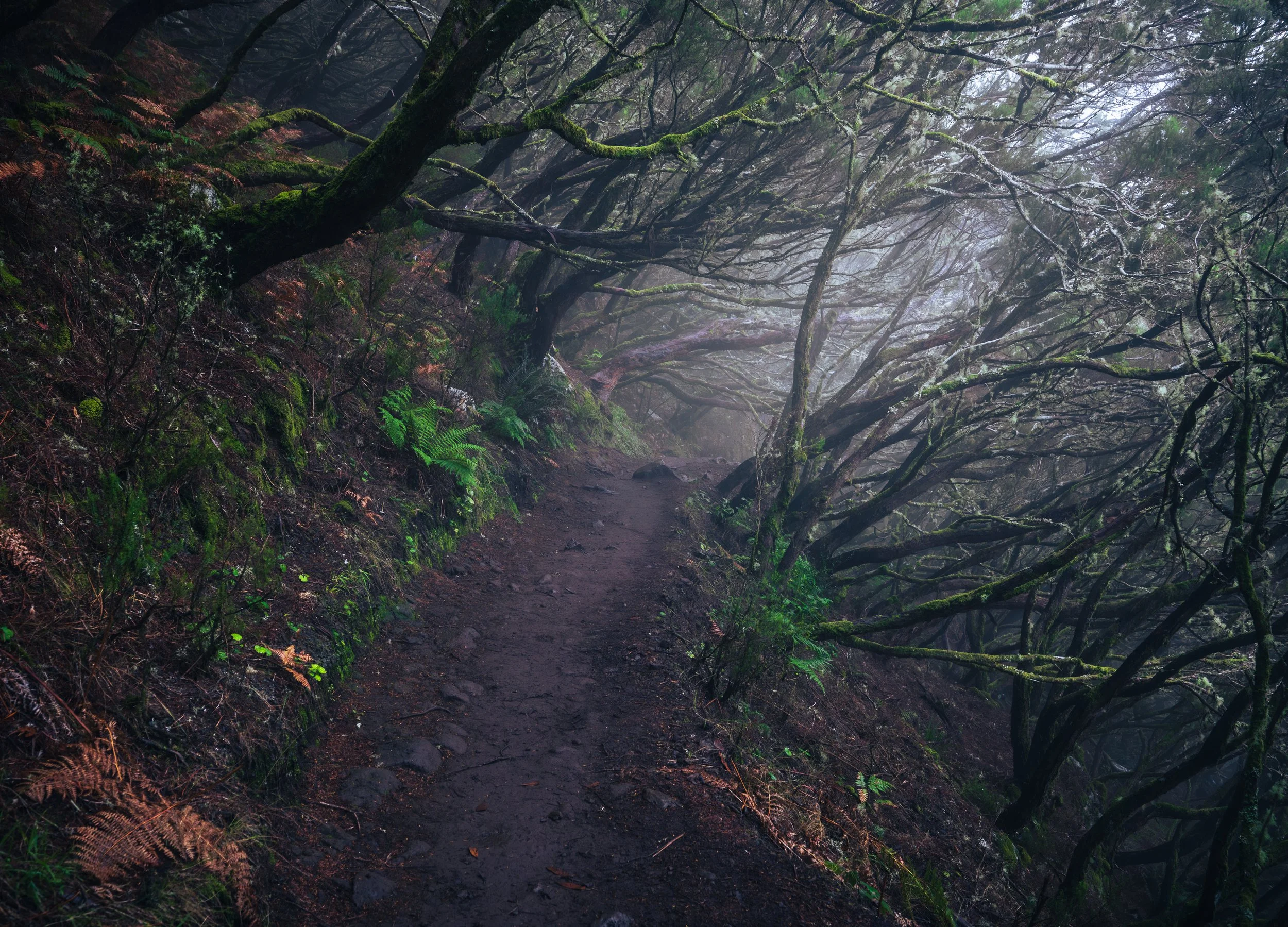 Levada do Risco