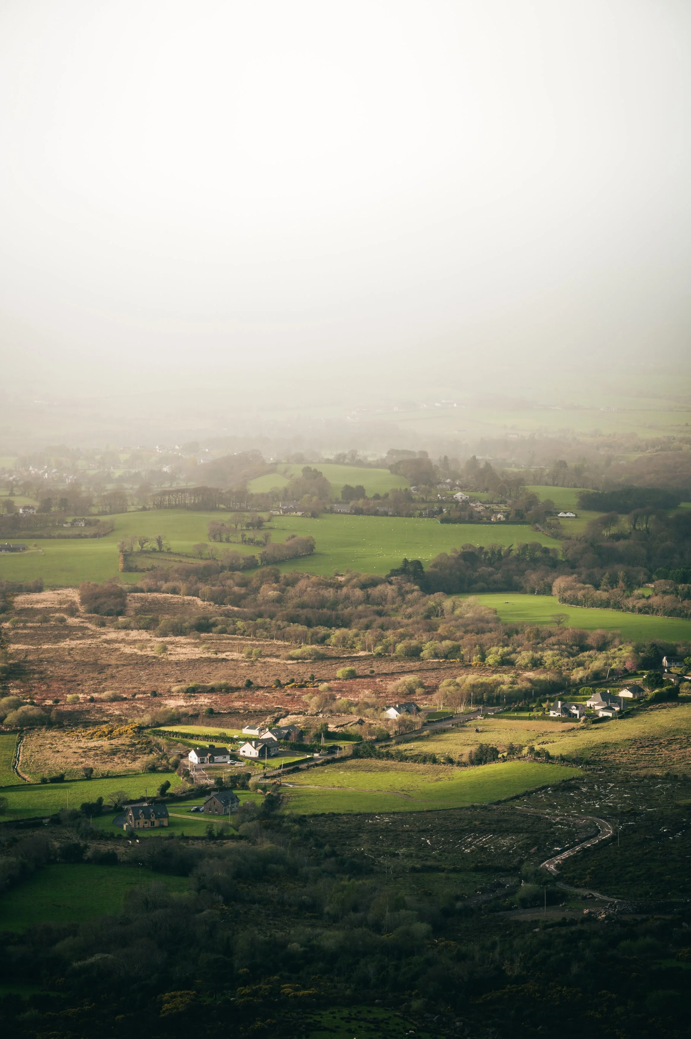 View from Strickeen Mountain
