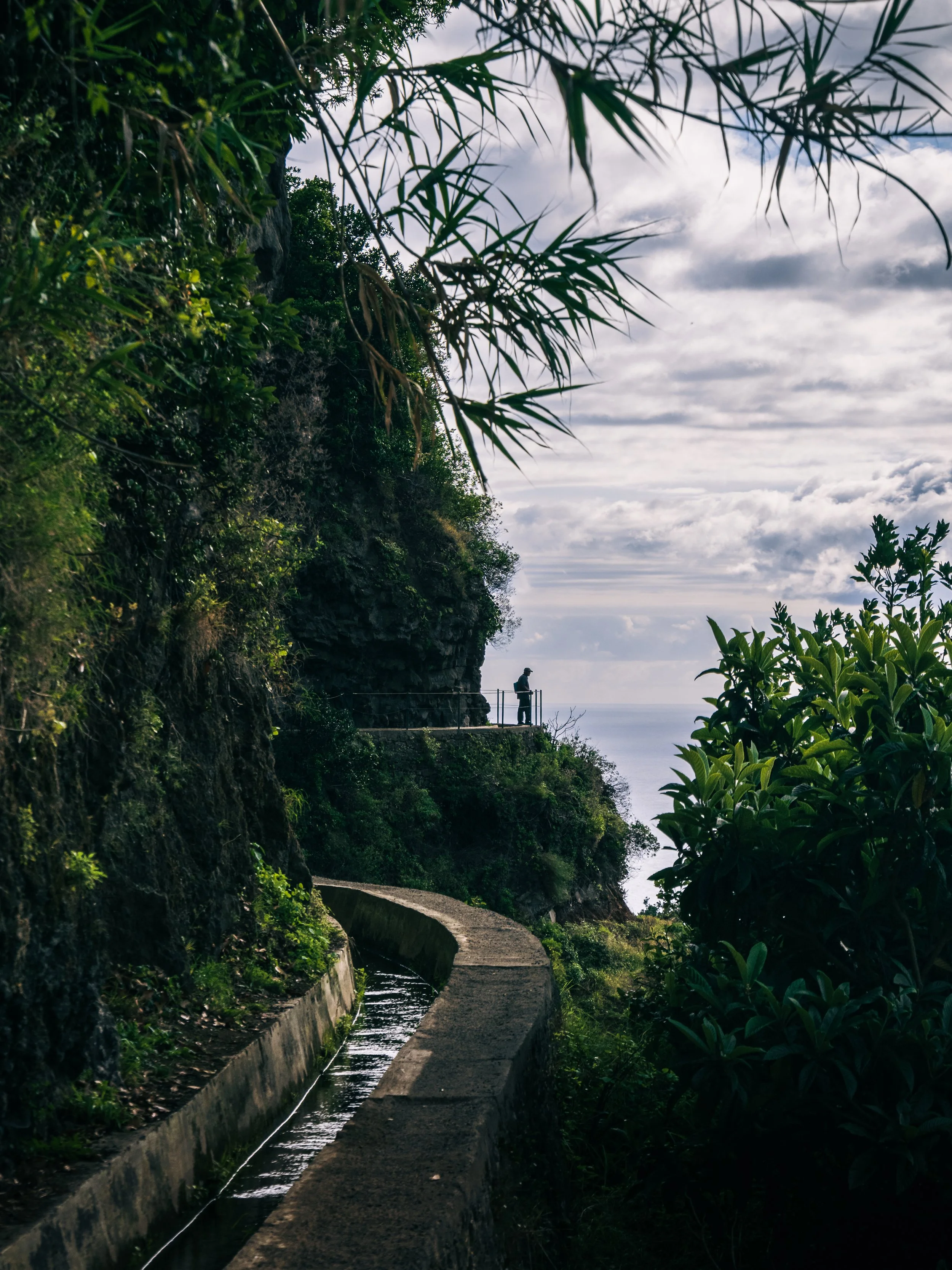 Levada Nova