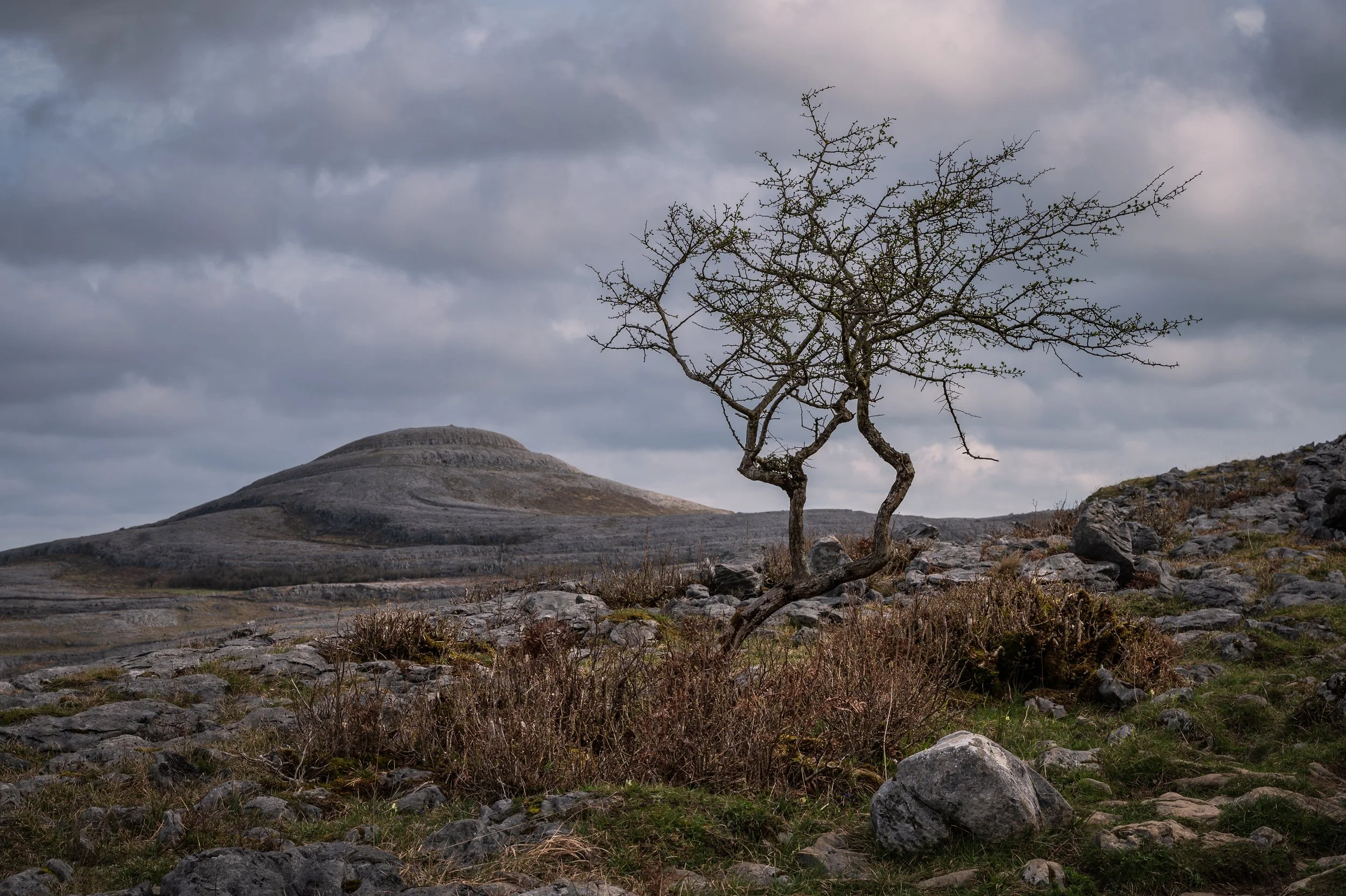 The Burren National Park