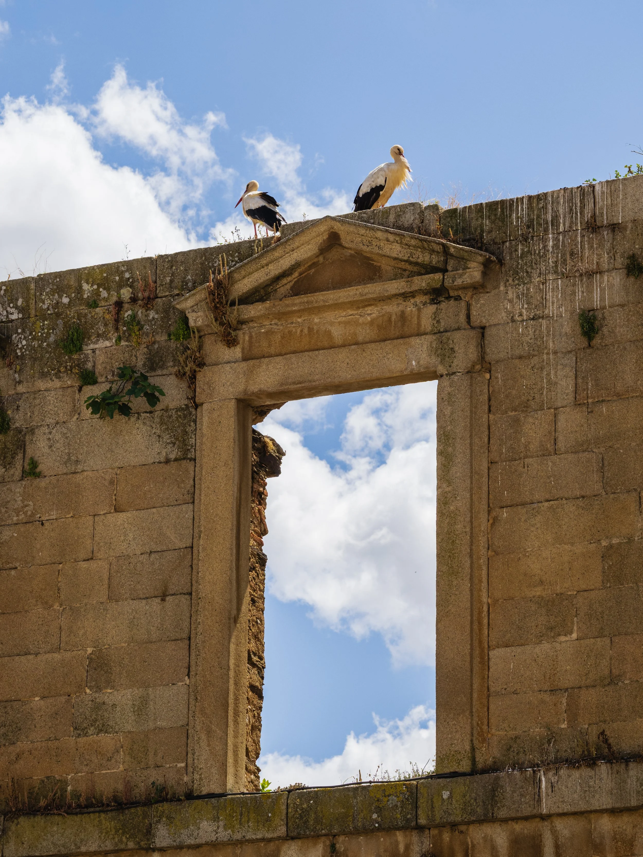Alcántara