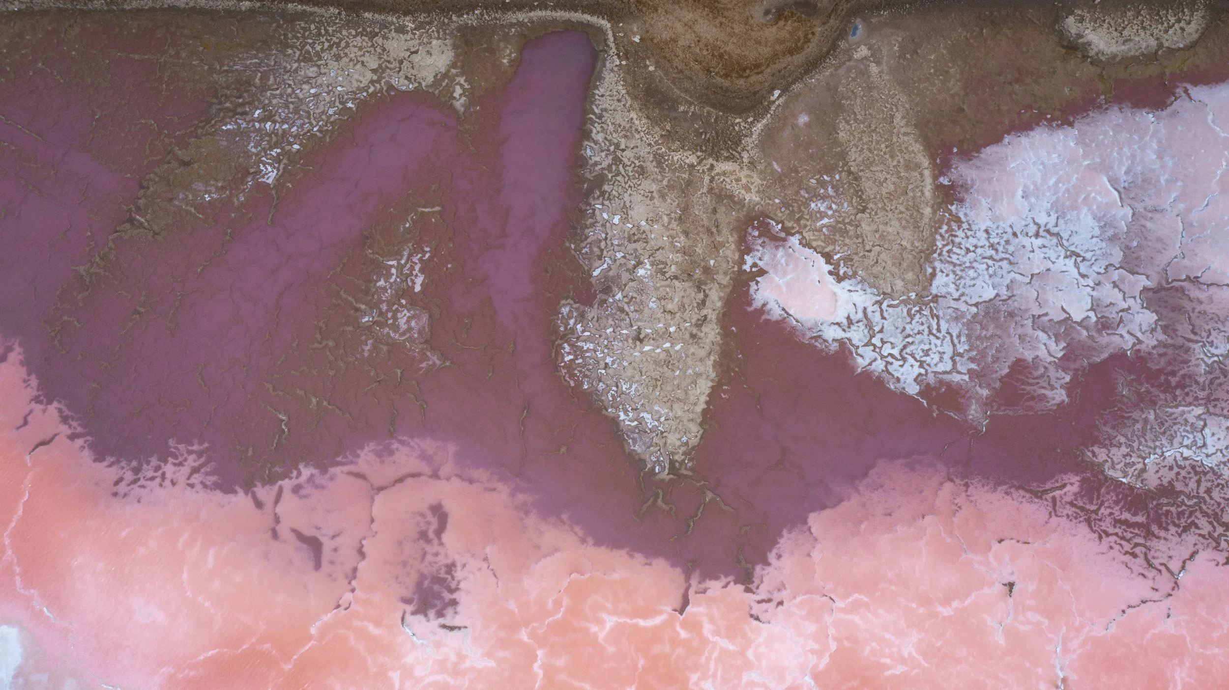 DJI_0862.jpg