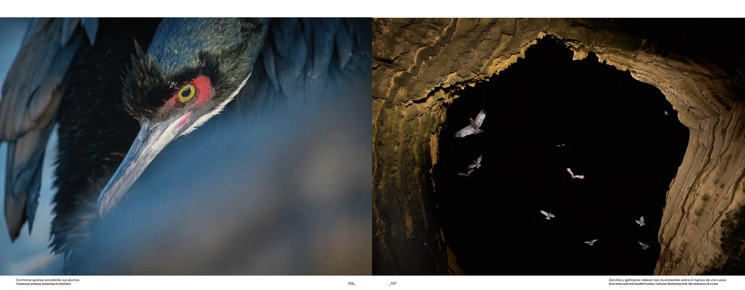 Captura de pantalla 2024-04-21 a las 1.42.49 p. m..png