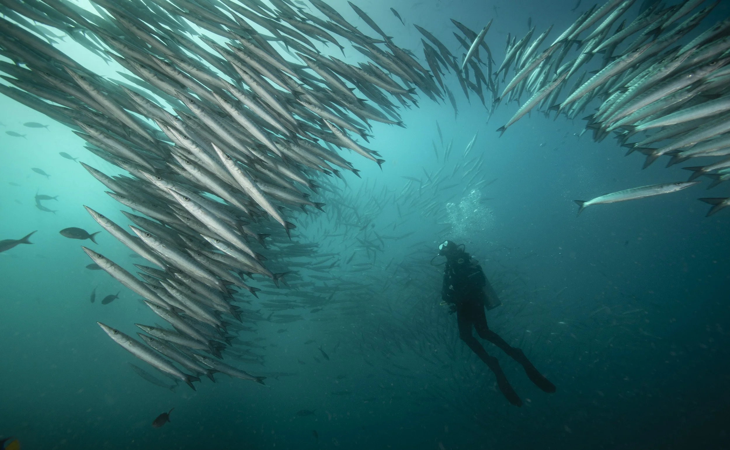_BSG3472.jpg