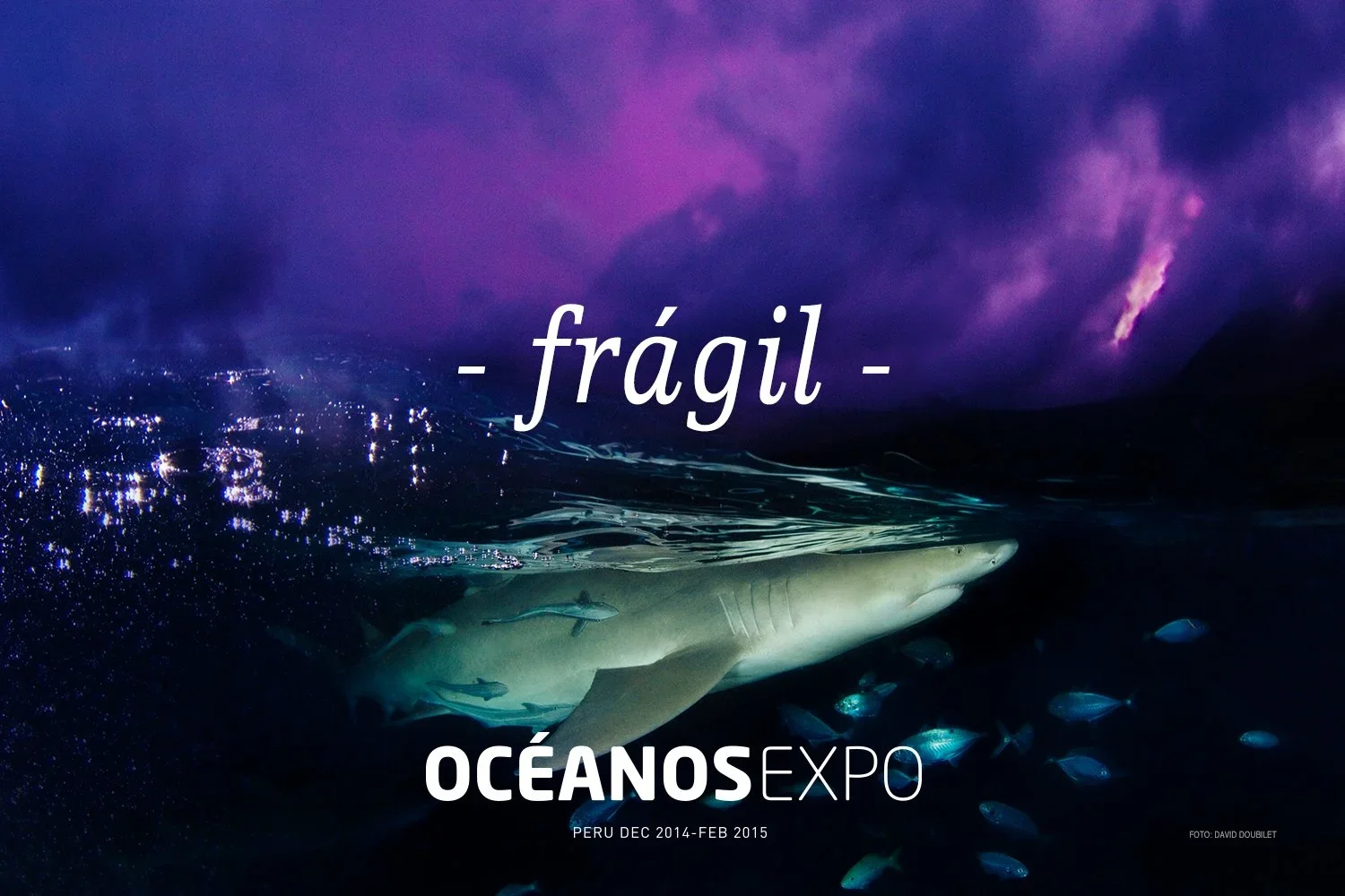 AVISO+FRAGIL.jpg.webp