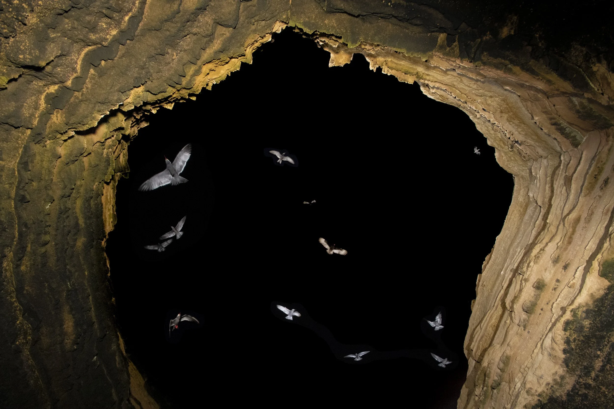 BSP_2166-3-2.jpg