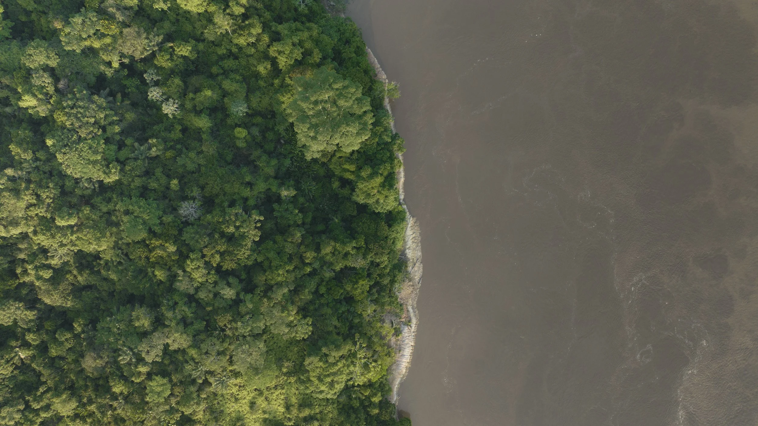 DJI_0308.jpg