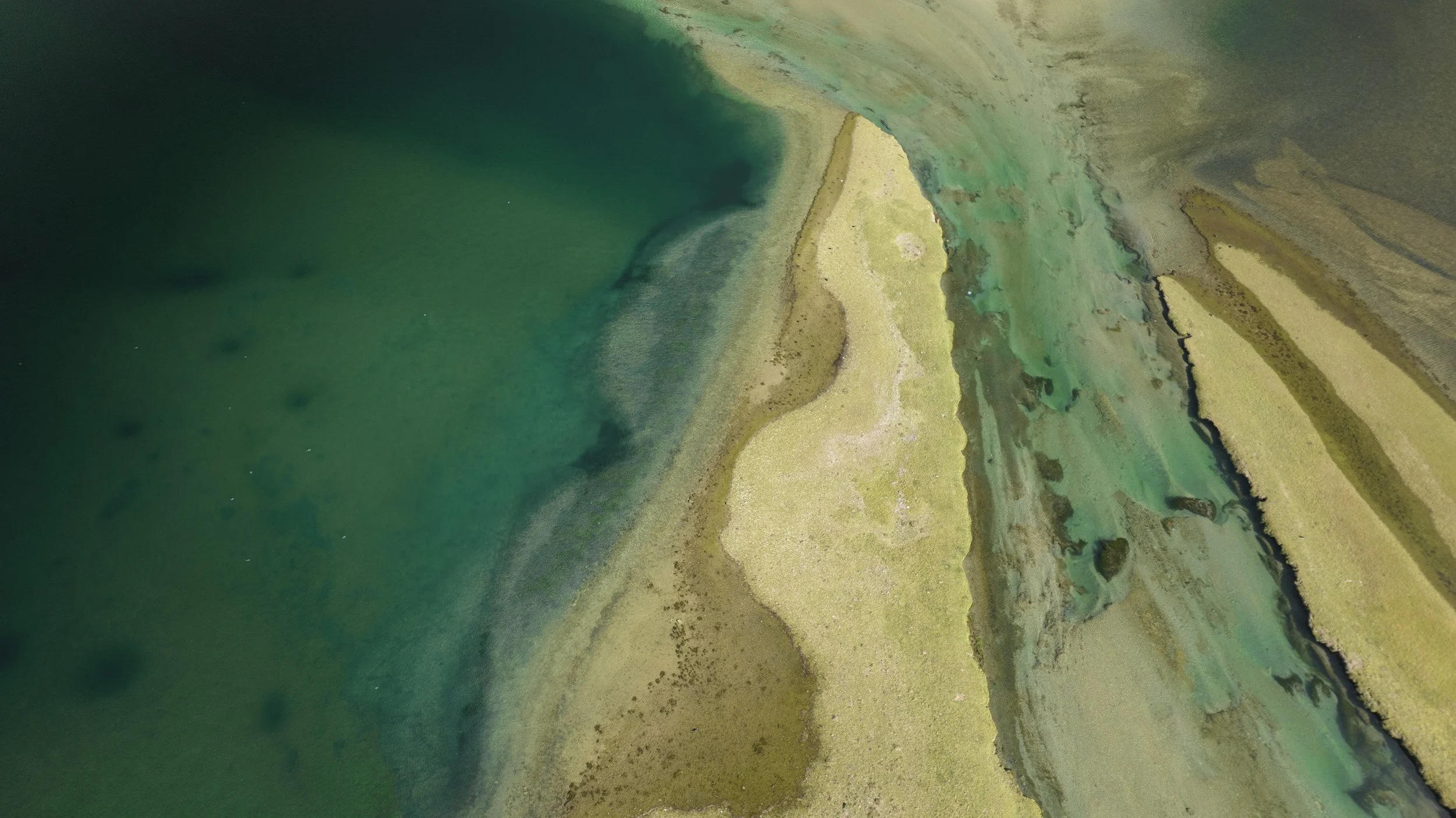 DJI_0105.jpg
