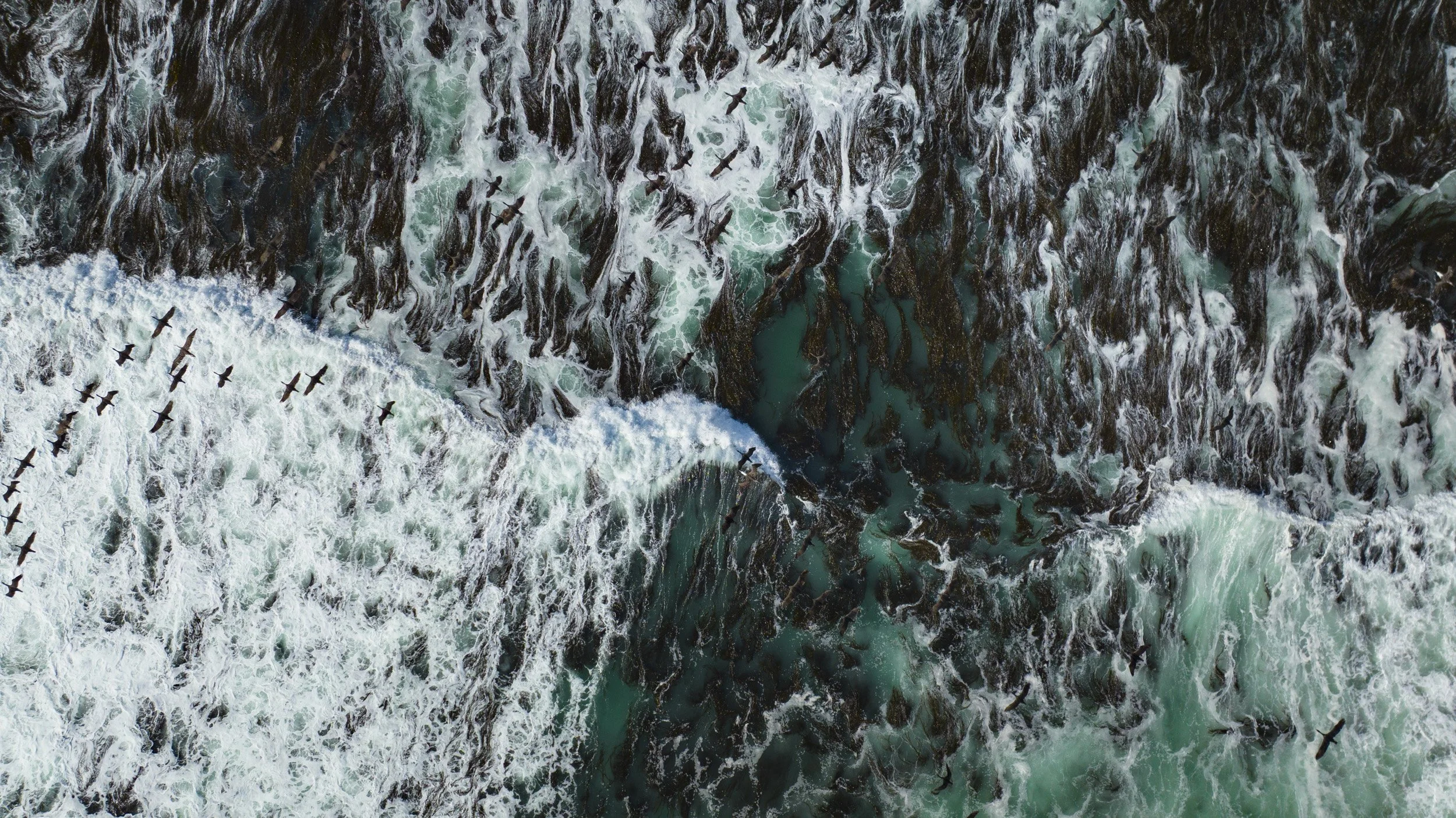 DJI_0397-3.jpg