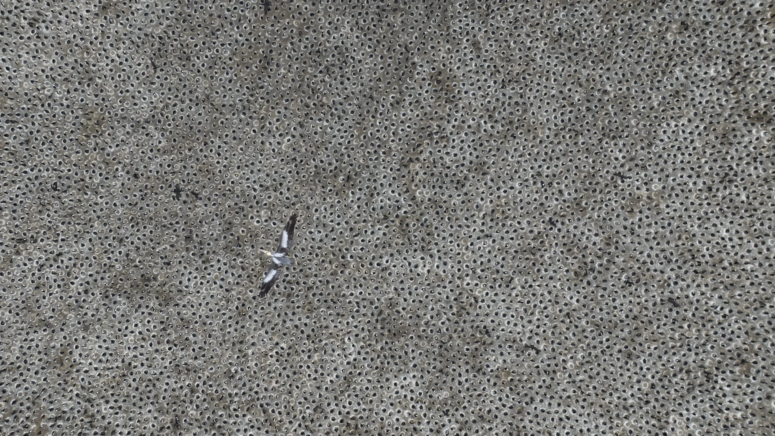 DJI_0128.jpg