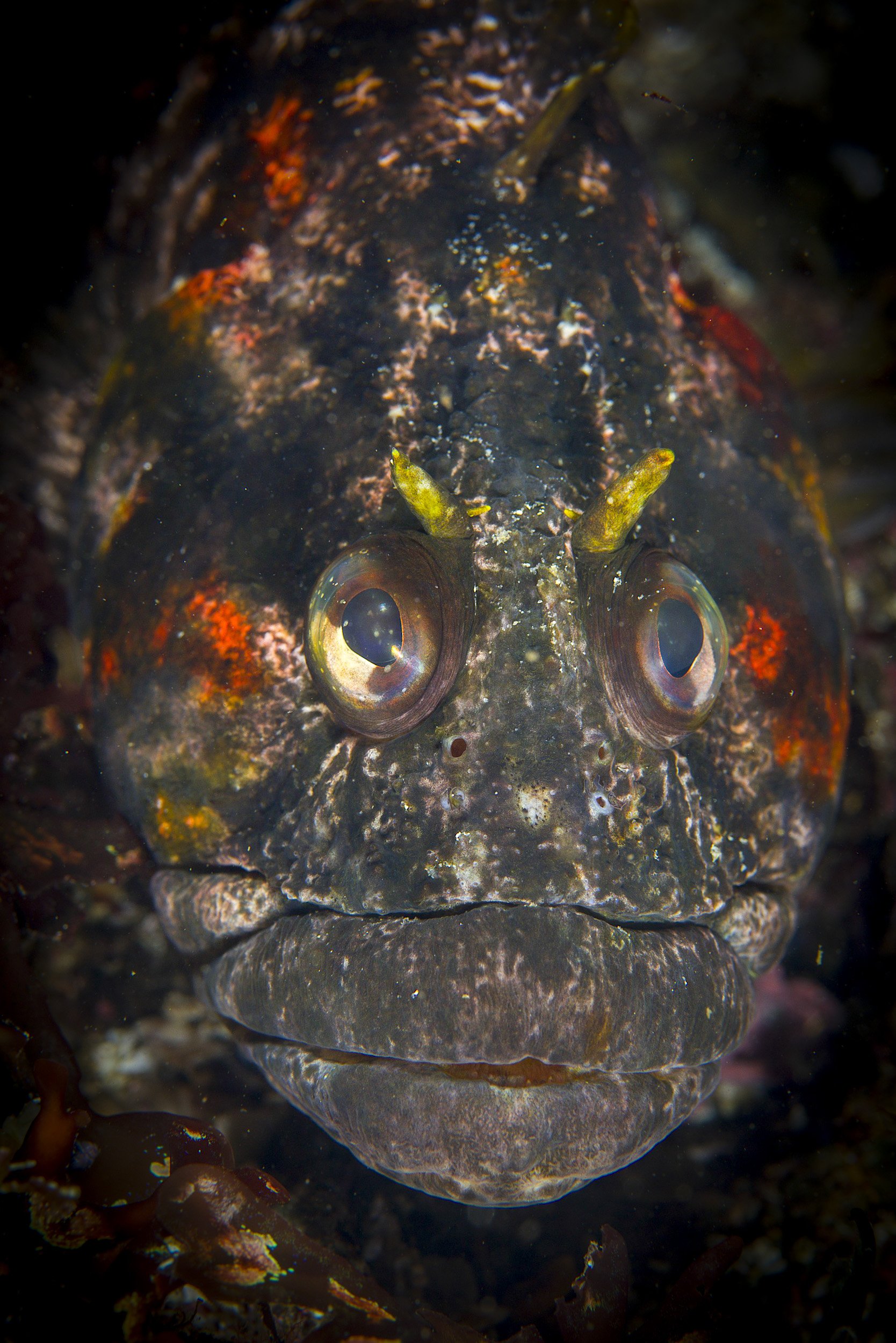 _DSC5921_Aperture_preview-2.jpg