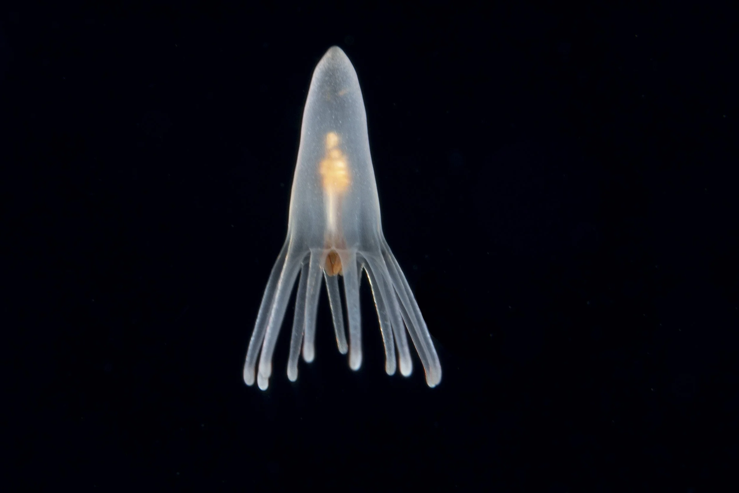 _BSP6947.jpg