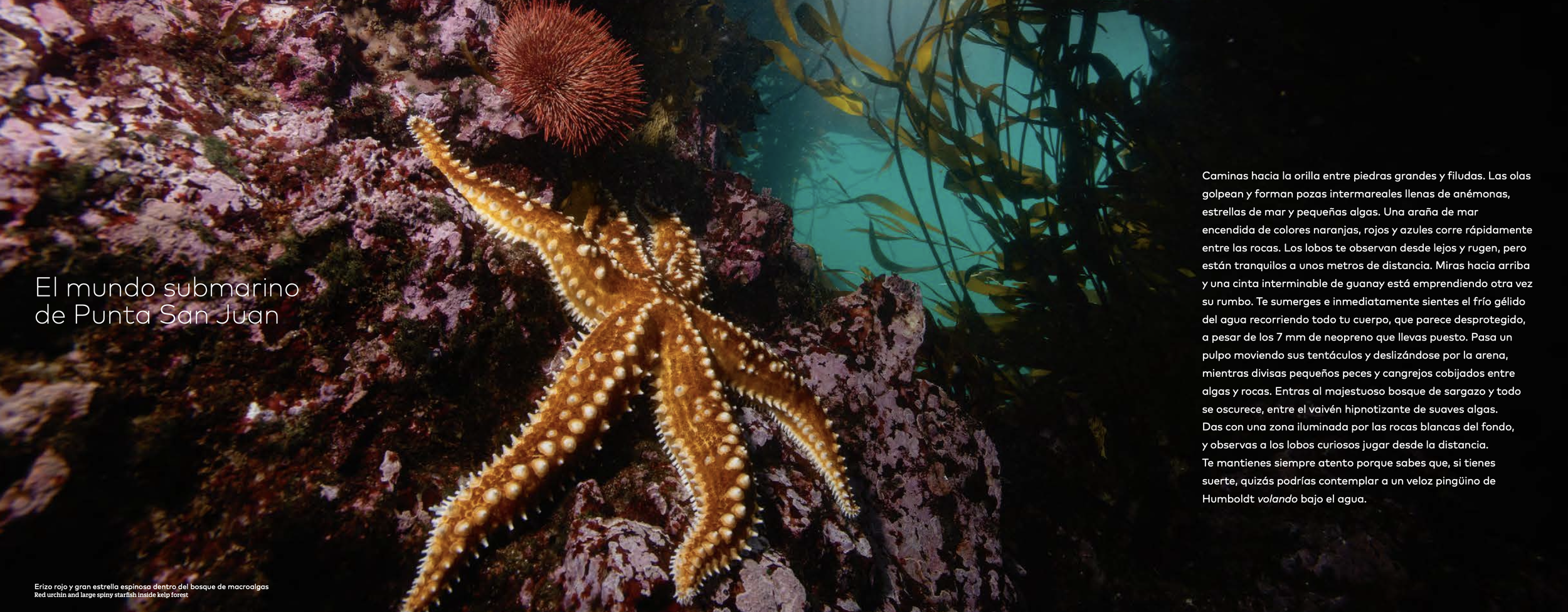 Captura de pantalla 2024-04-21 a las 1.44.42 p. m..png