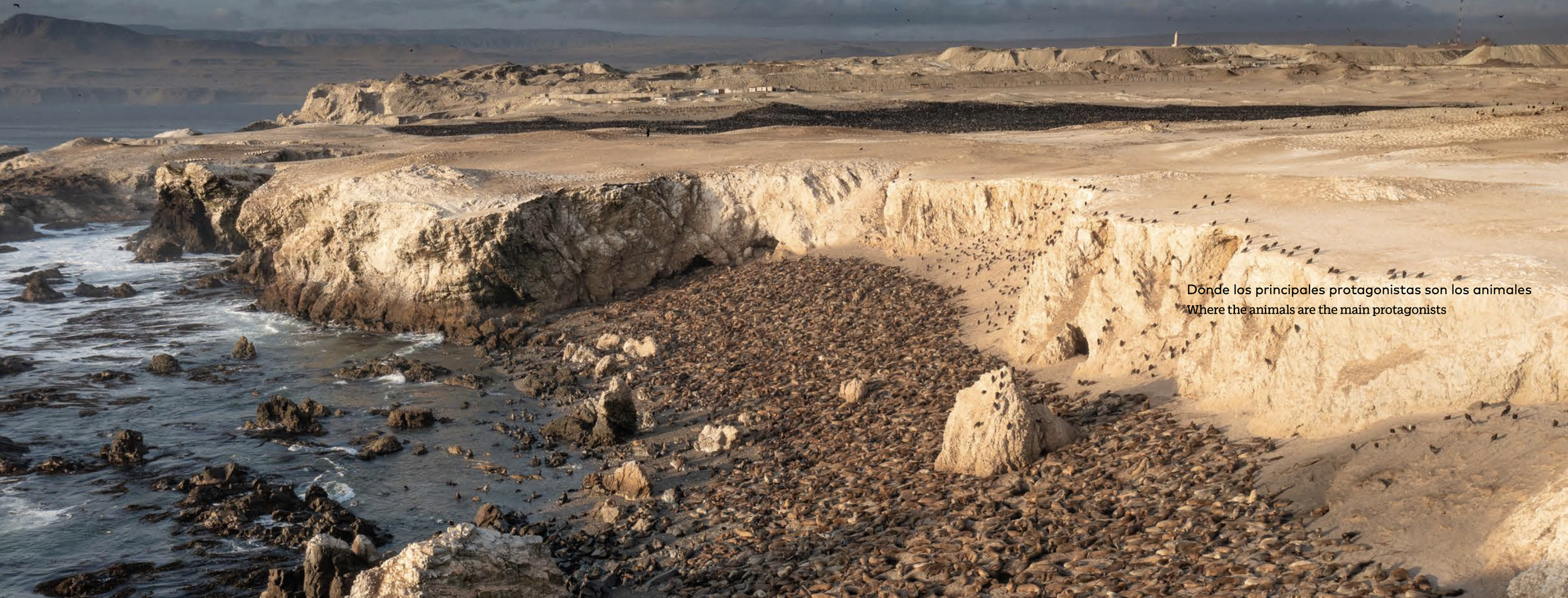 Captura de pantalla 2024-04-21 a las 1.40.20 p. m..png