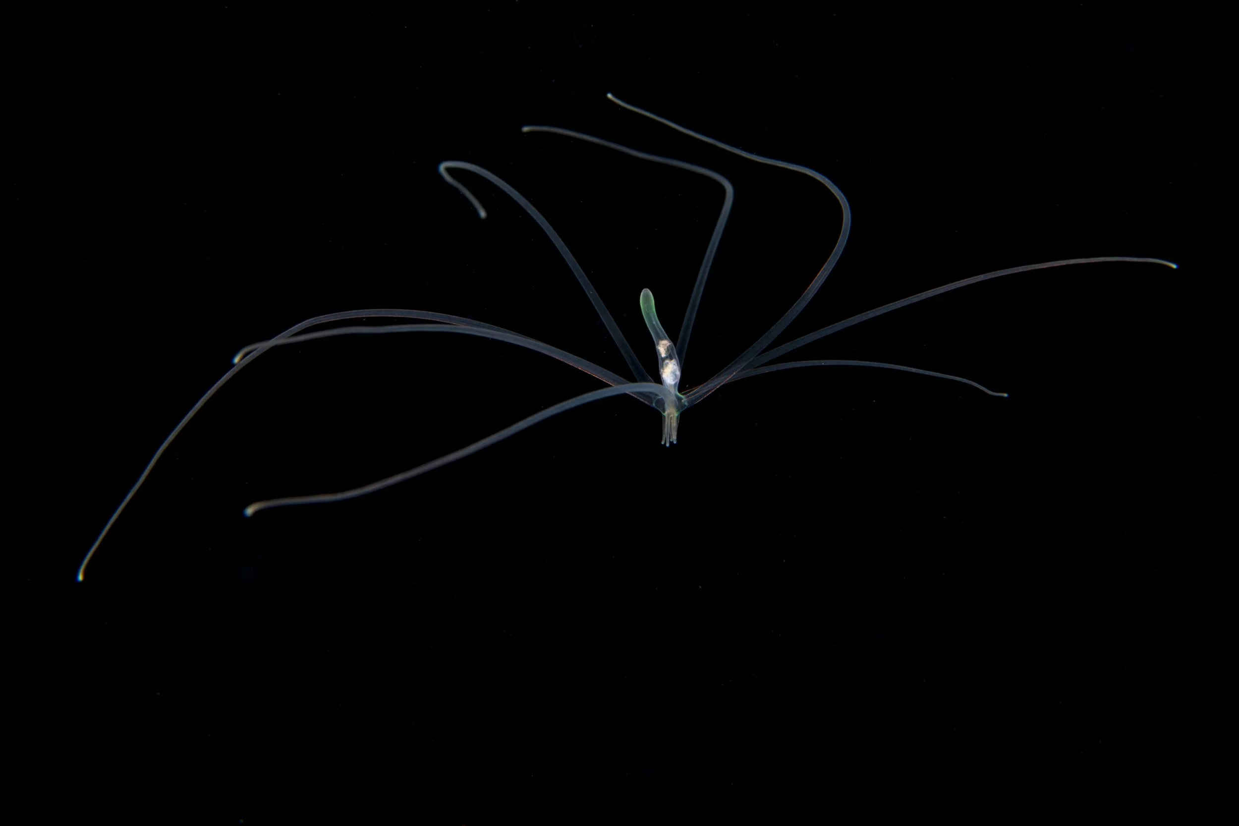 _BSP6870.jpg