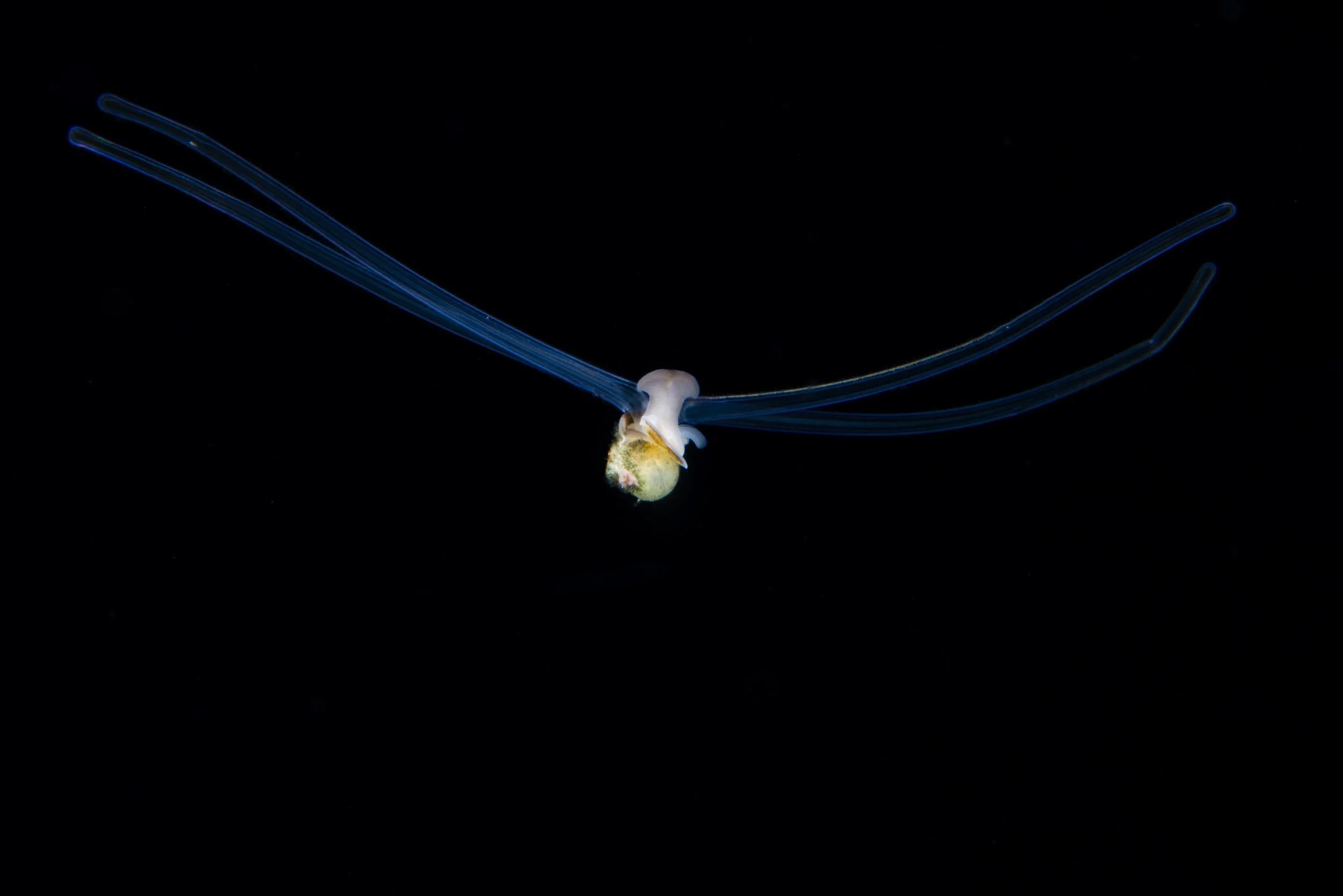 _BSP6902.jpg