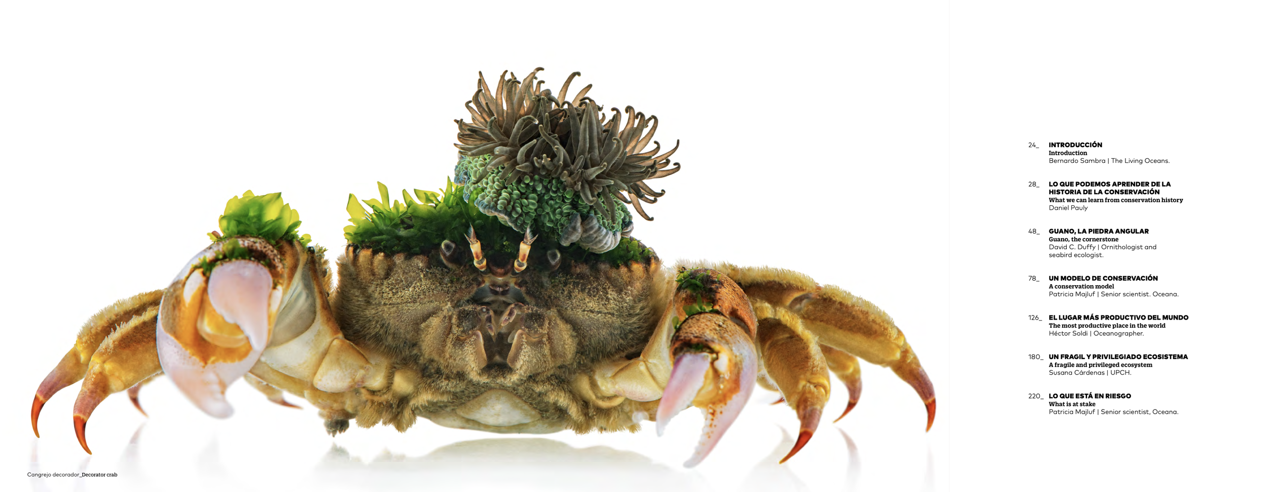 Captura de pantalla 2024-04-21 a las 1.38.58 p. m..png