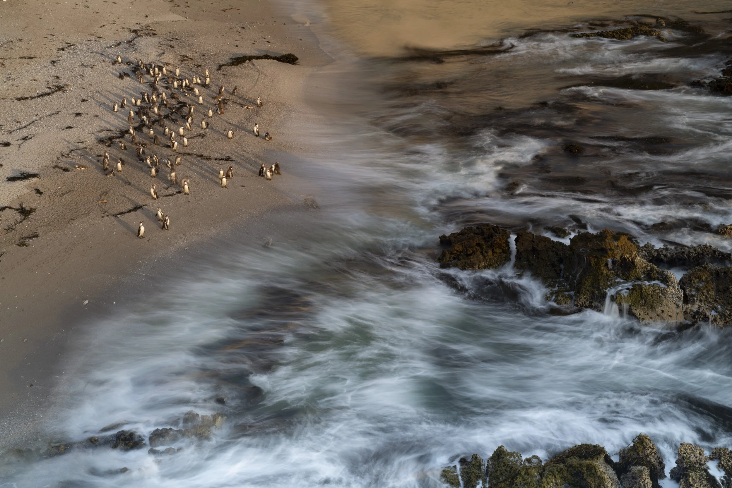 _DSC5858_12172-2.jpg