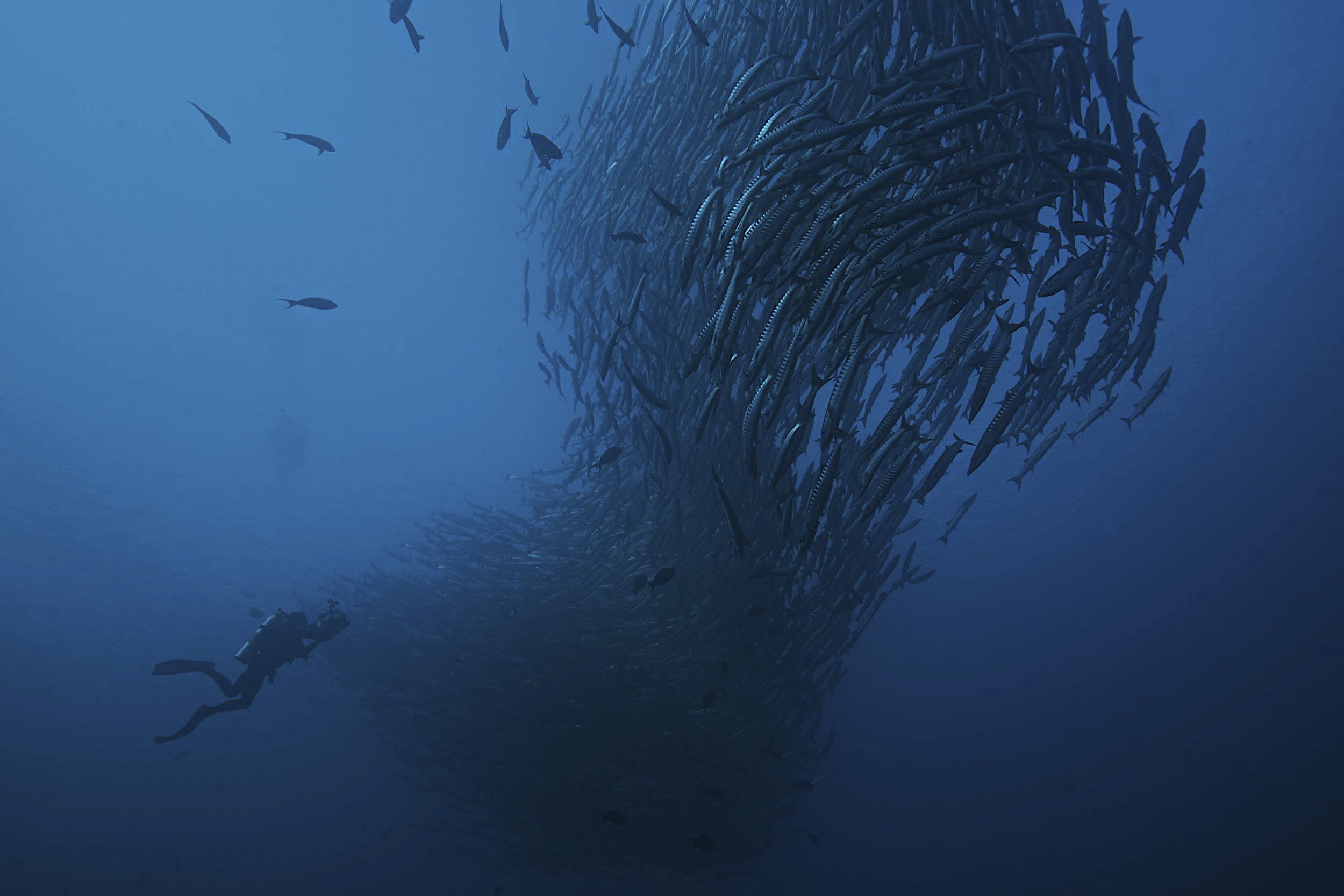OPENOCEANS15.jpg