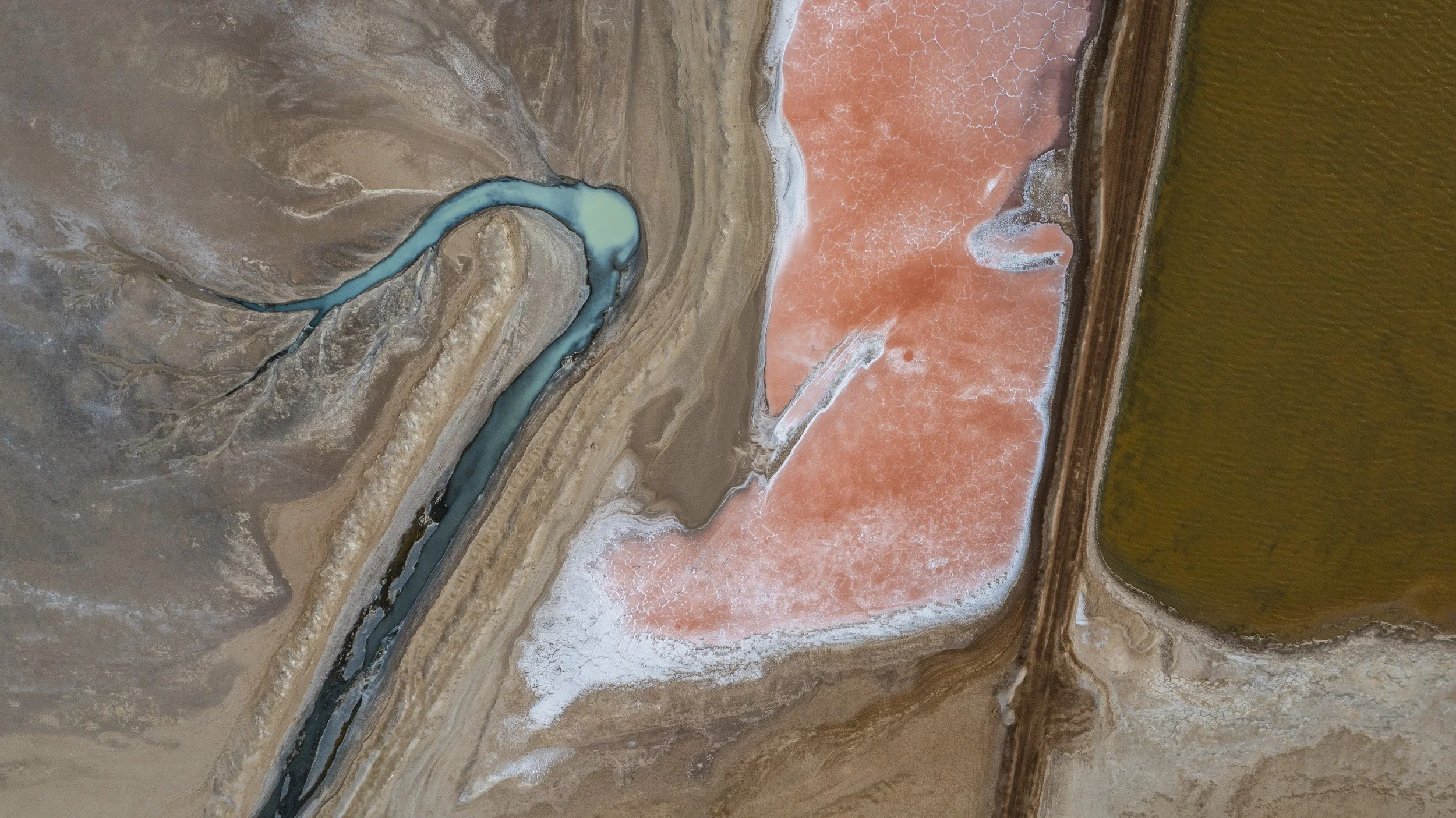 DJI_0973.jpg