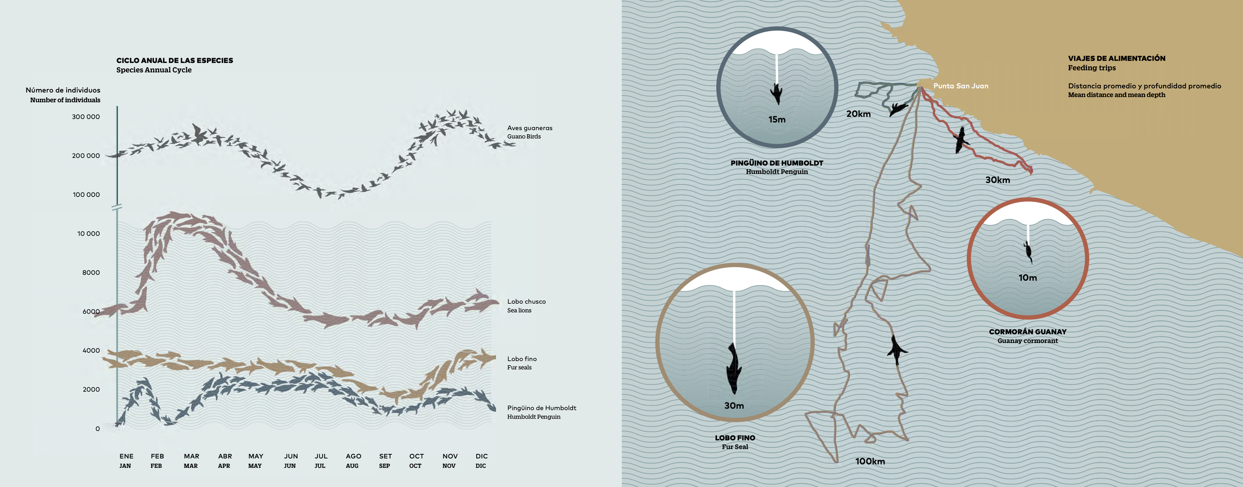 Captura de pantalla 2024-04-21 a las 1.43.27 p. m..png