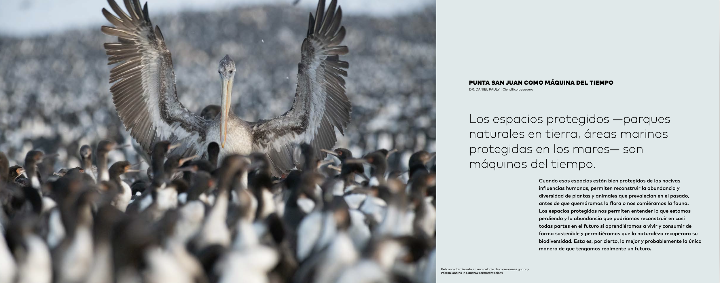 Captura de pantalla 2024-04-21 a las 1.40.55 p. m..png