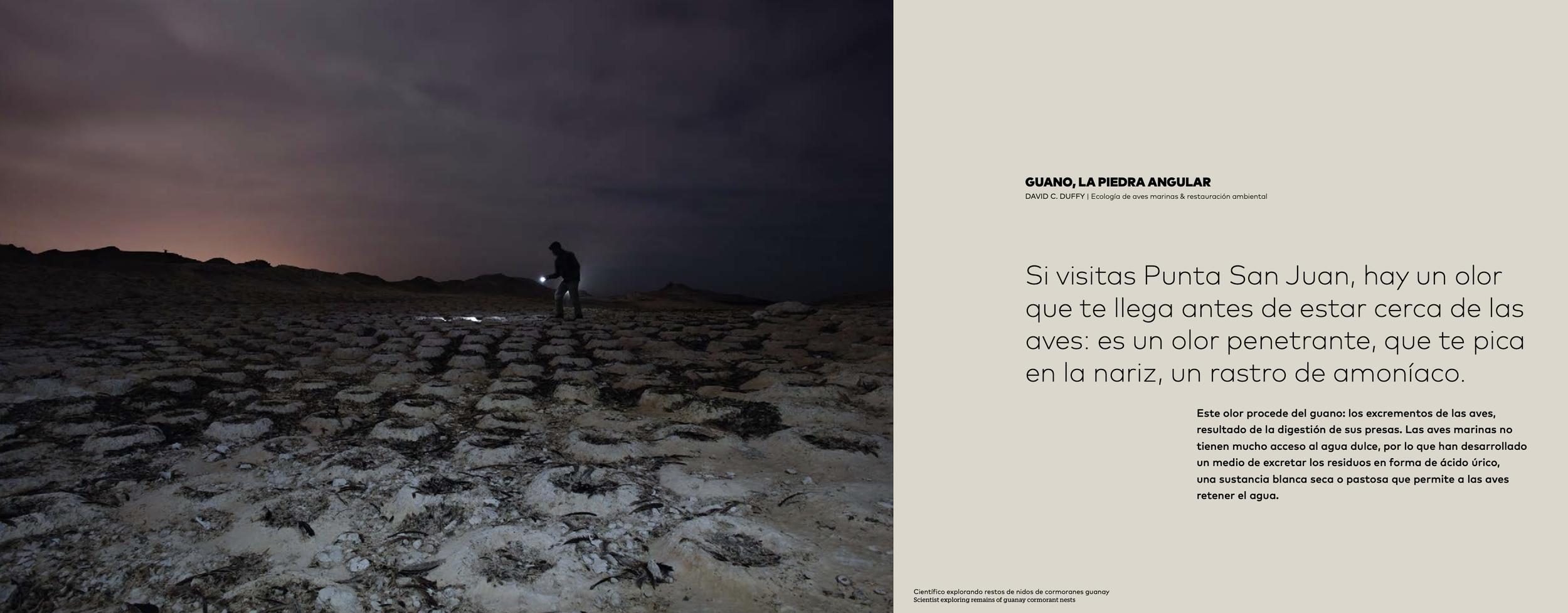 Captura de pantalla 2024-04-21 a las 1.41.11 p. m..png