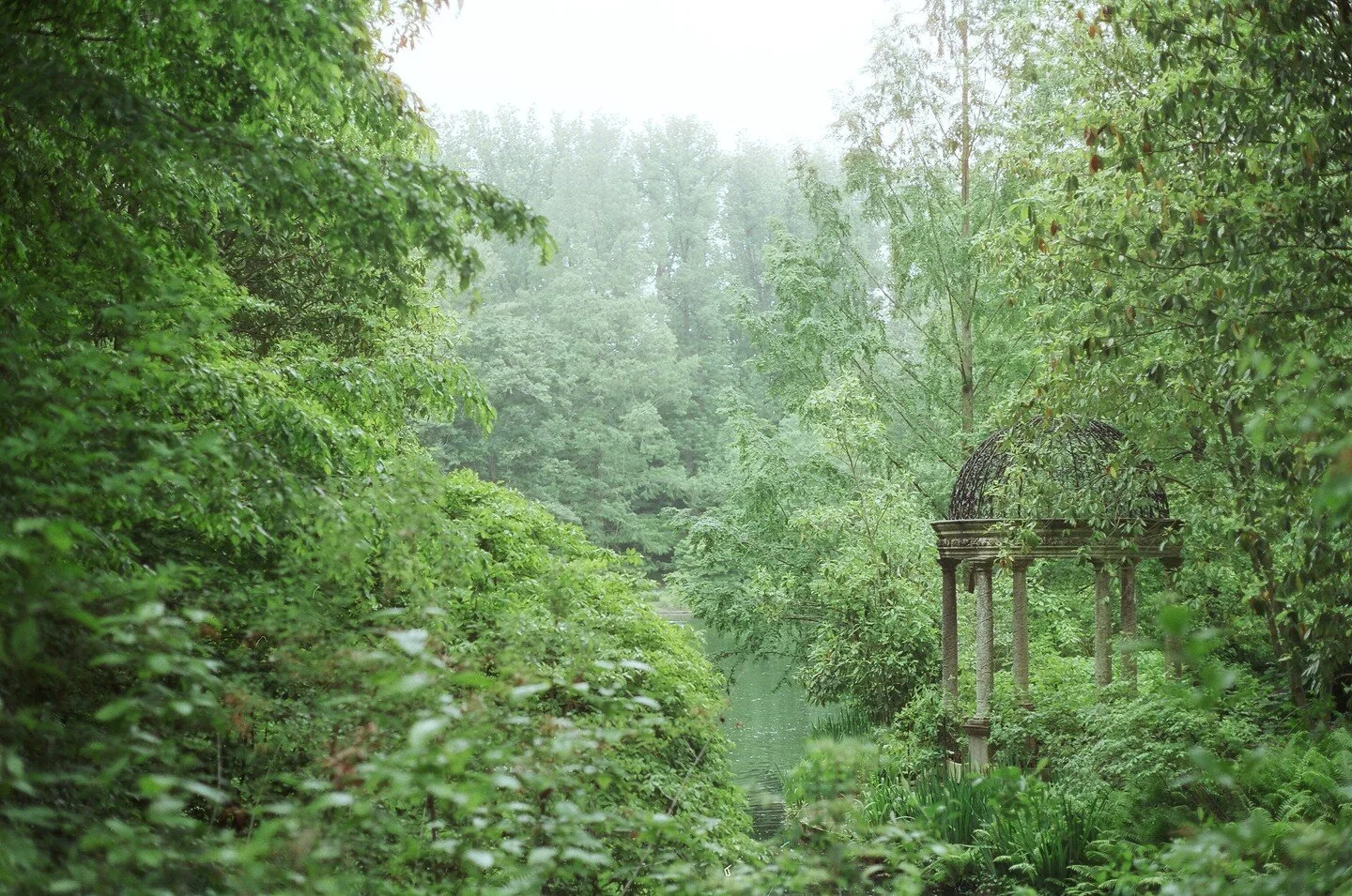 Scenes from @longwoodgardens, shot on @cinestill 50D.
.
.
.
#cinestill800t #cinestill50d #filmisnotdead #shootfilmmag #thedaily35mm #contaxt2 #cinestill #loadfilm #onfilm #filmdiscovered #analogkollektiv #filmtweakers #woofermagazine #shootfilm #maga
