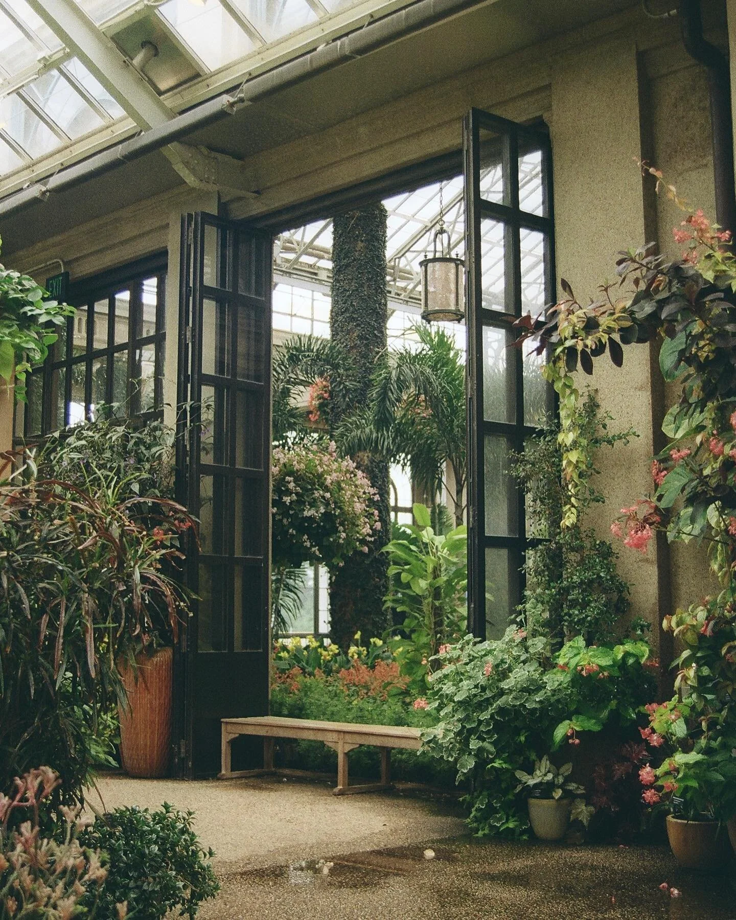 You just know I had to try out my favorite angle at @longwoodgardens with the K1000! I have availability for photoshoots all weekend this coming weekend, I&rsquo;ll be posting time slots on my story this week!
.
.
.
#FilmIsNotDead #filmphoto #filmwav