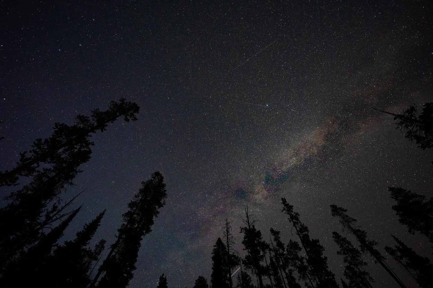 It was so cool being able to see the Milky Way with the naked eye! The light pollution out here in PA is so strong, so this was definitely spectacular to see!
.
@sonyalpha a7iii / @sigmaphoto 14-24mm 2.8 Art
.
#gallatinforest #montana #nationalpark #