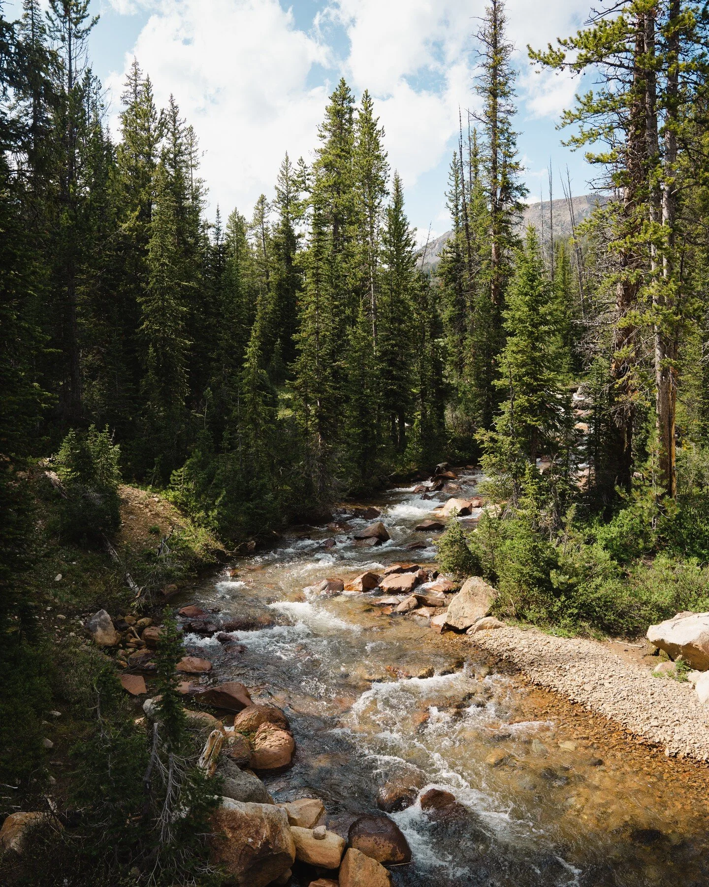 Fisher Creek, MT - we were able to catch the afternoon sun sweeping between the trees and across the water!
.
.
.
#travel #landscapephotography #wilderness #montana #rockymountains #travelphotography #travelgram #wildernessculture #natgeotravel #trav