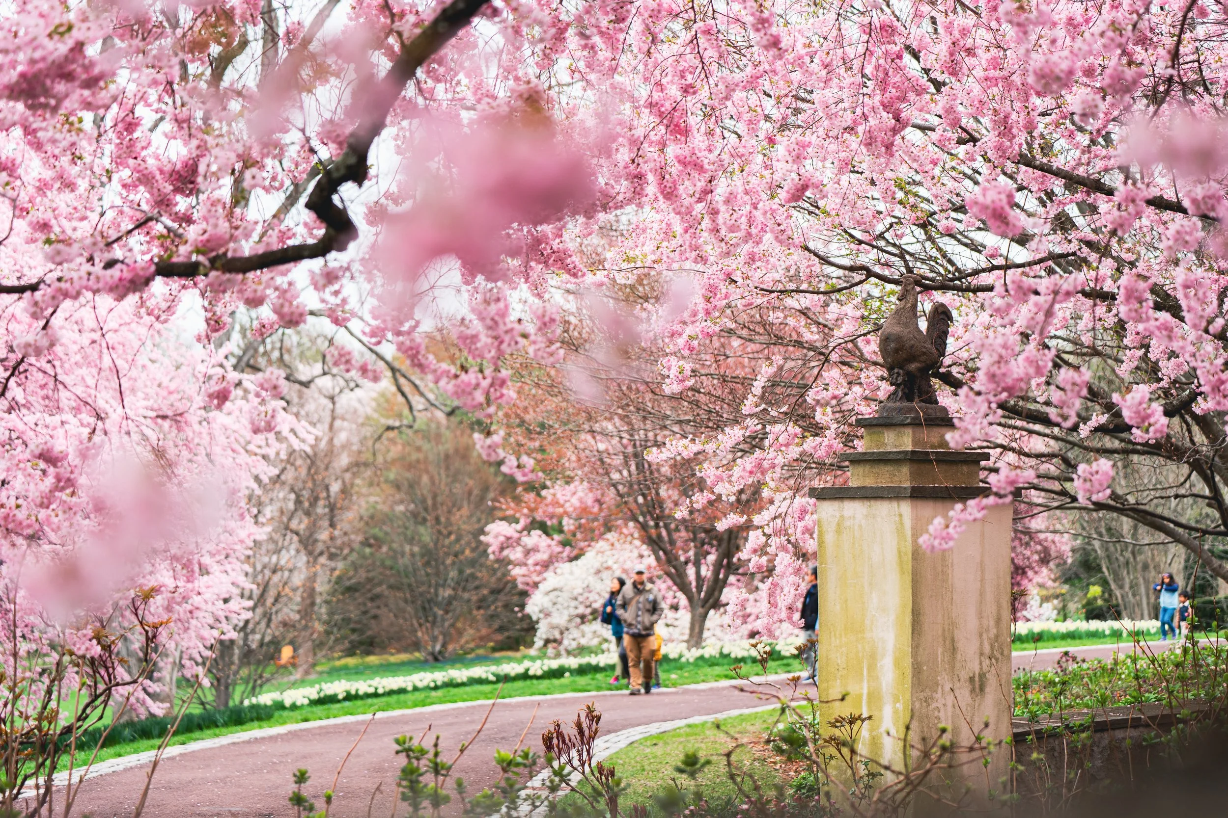 Chanticleer Garden - Spring 2025