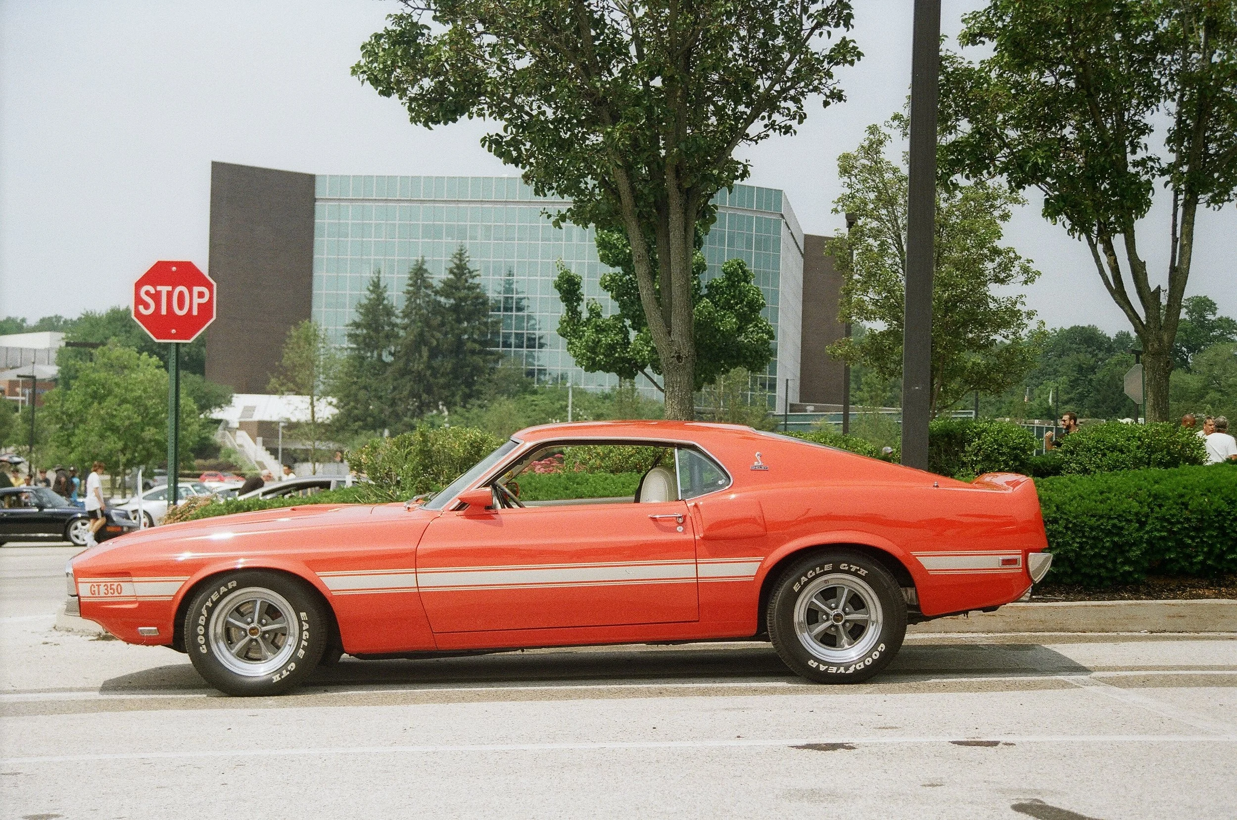 00590031.JPG