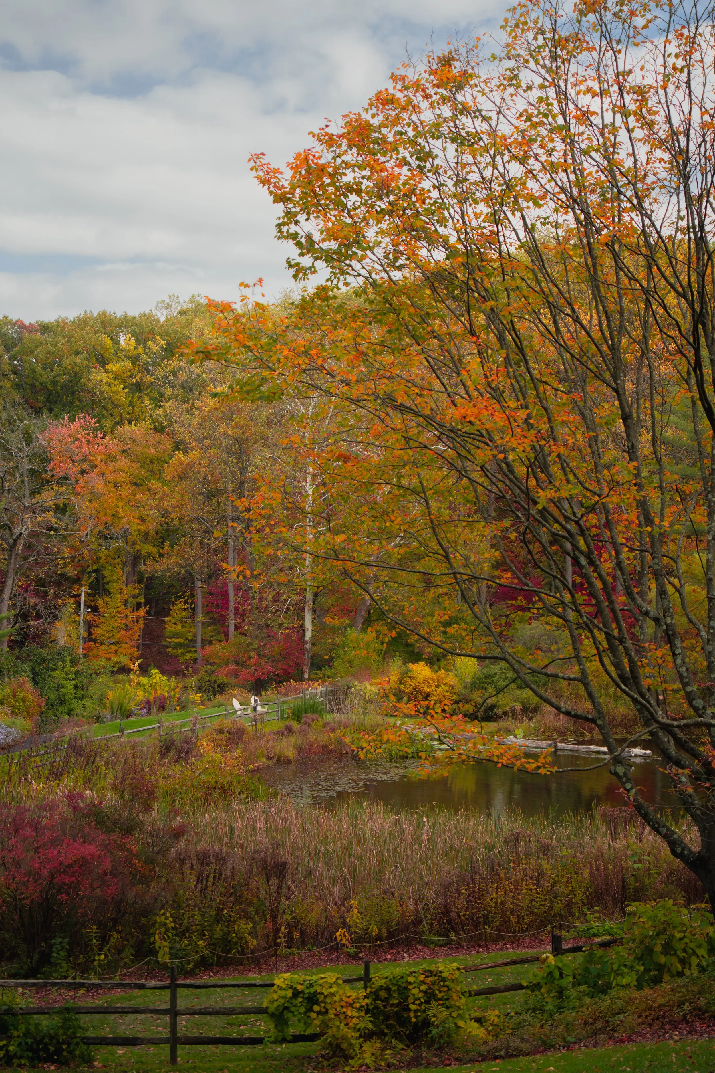 Jenkins Arboretum - Autumn 2025